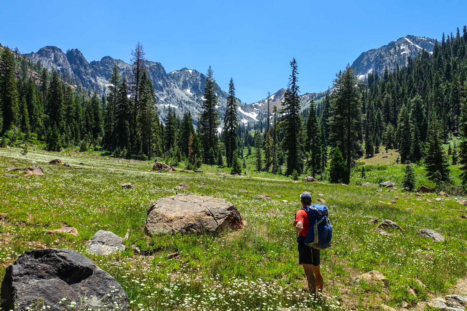 backpacker in an open meadow in the trinity alps