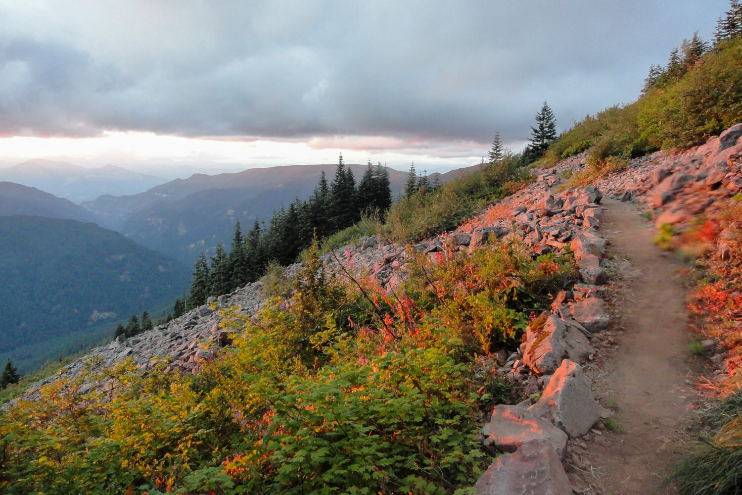 alpenglow on a side hill trail