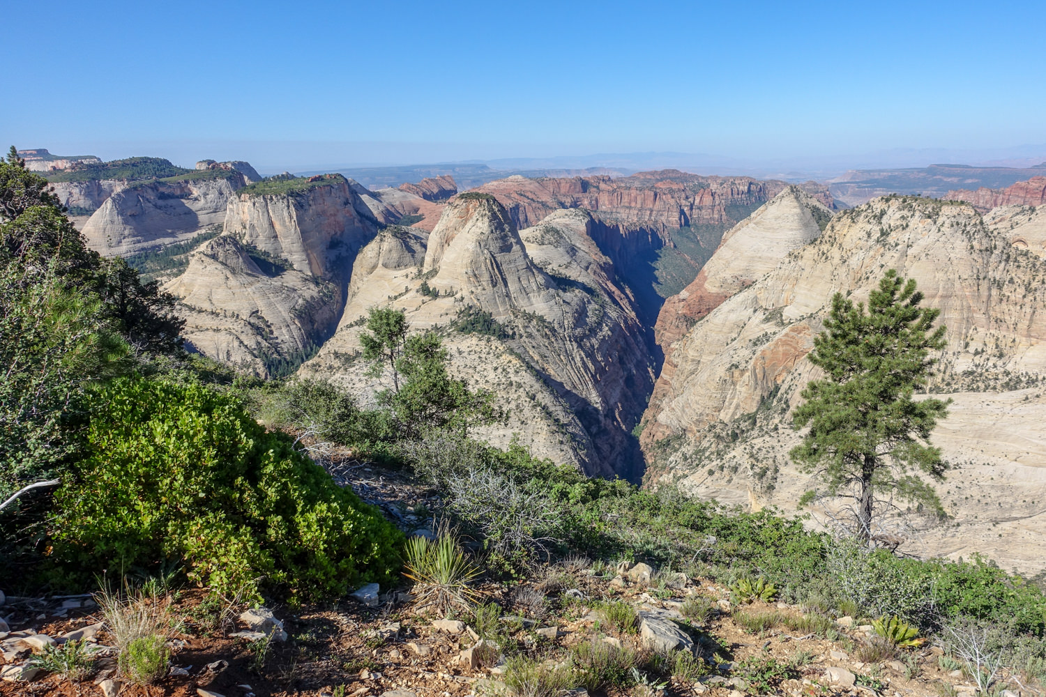 zion national park's vast rock formations, valleys, canyons, and towers on a sunny day