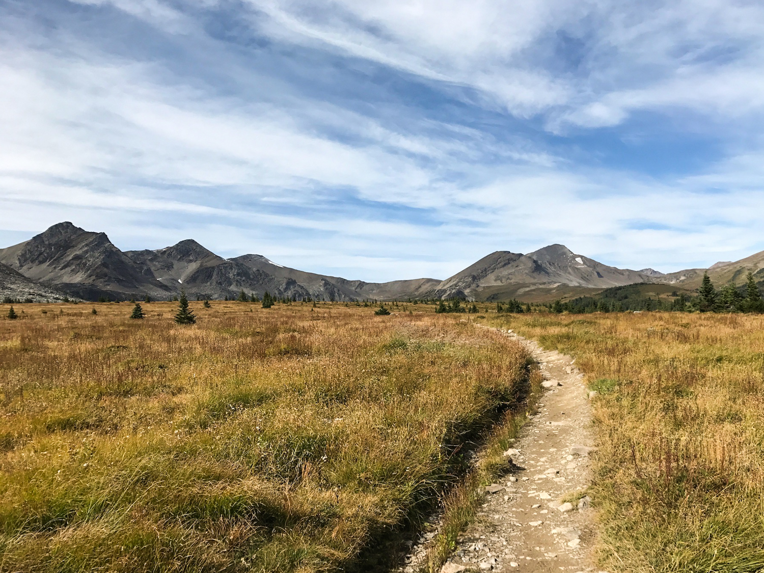 a trail curving through an open grassland with jasper national park in the distance