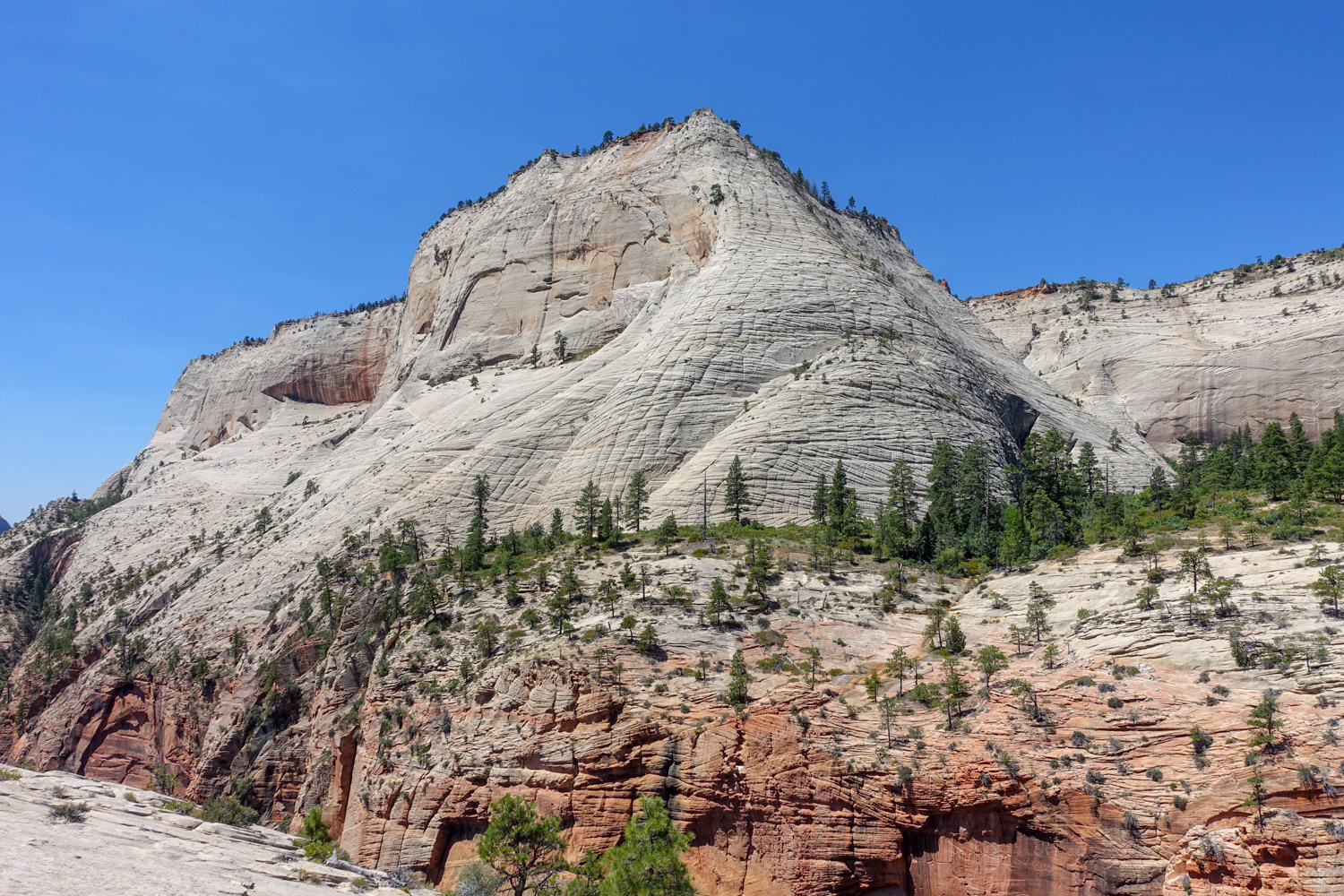 white and red sandstone rock formations in zion national park on the trans-zion trail