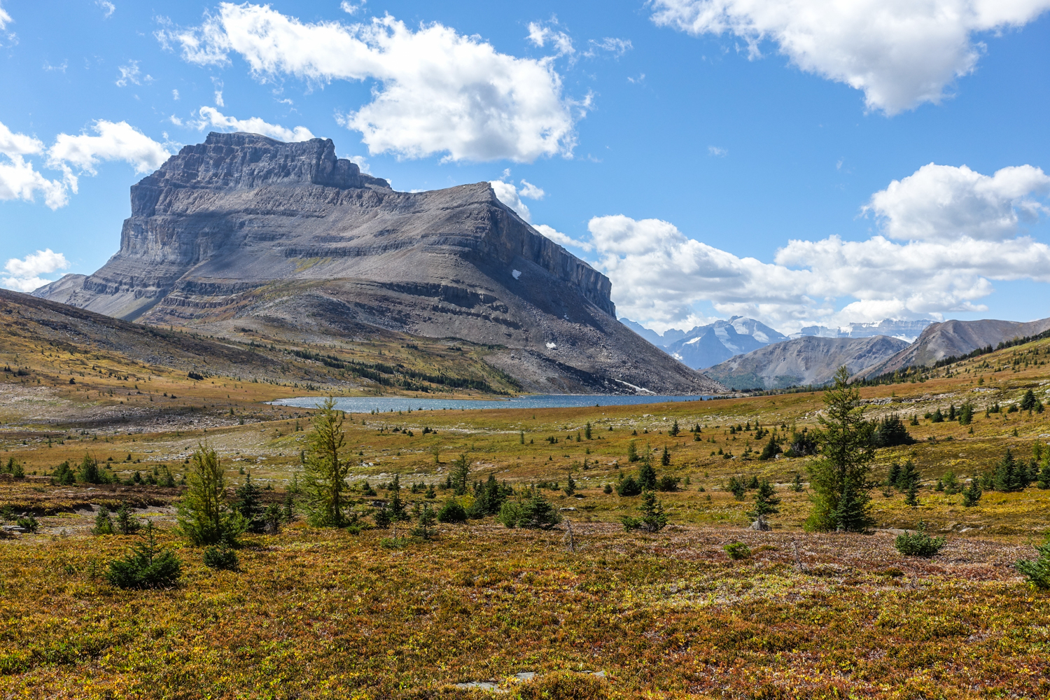 mountain behind alpine meadow in the fall