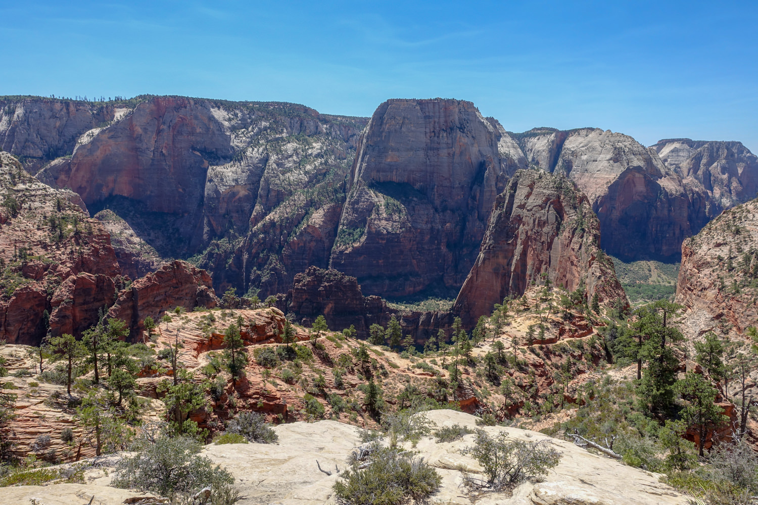 a wide view of all the cliffs, rock formations, and sandstone walls of zion national park