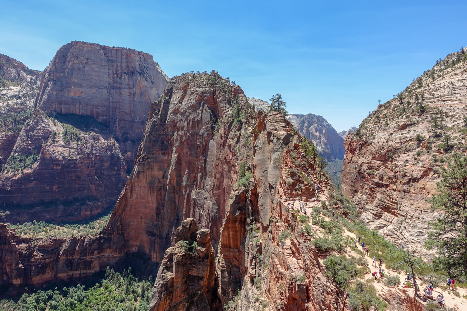 people walking the narrow trail to angel's landing in zion national park.