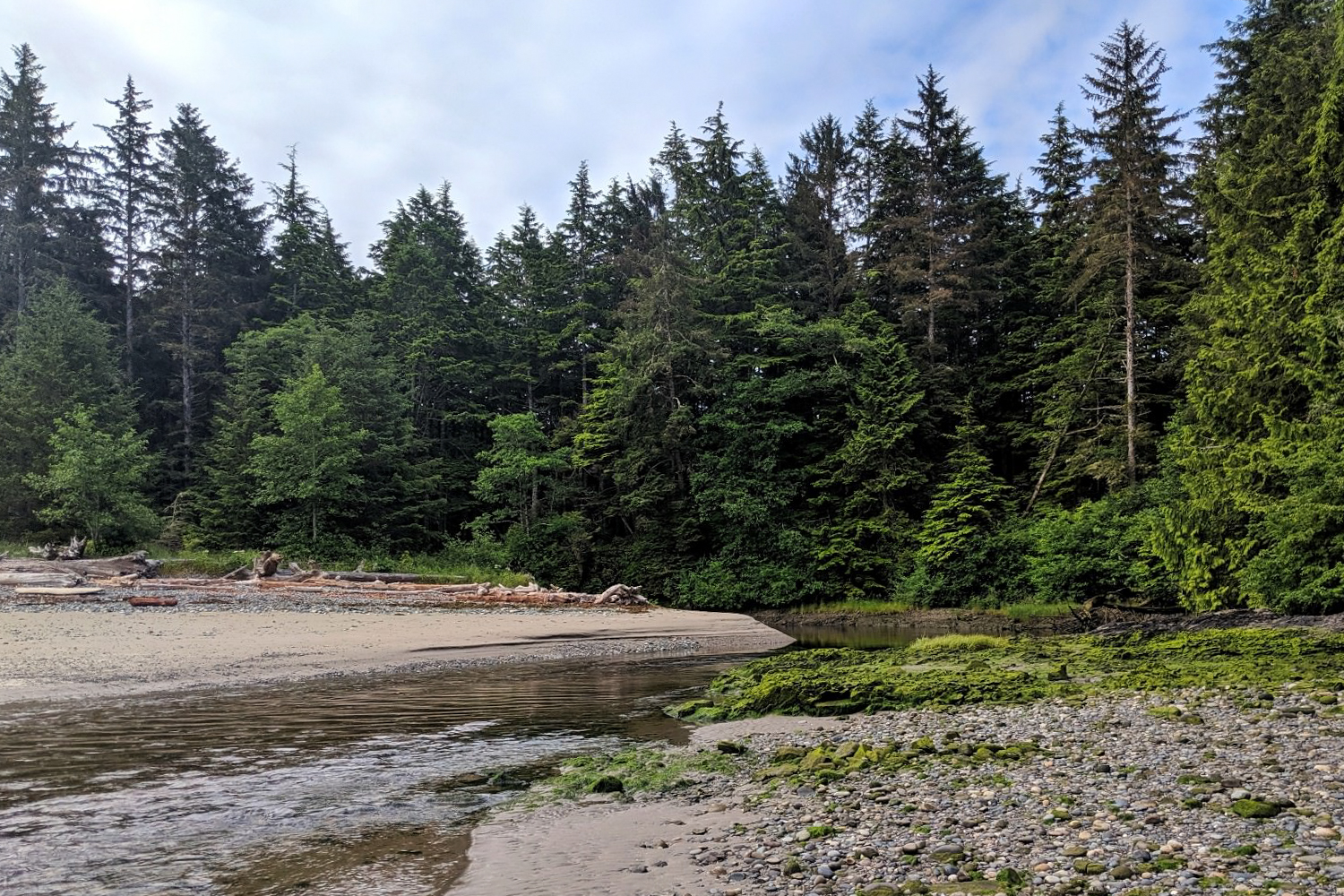 A quiet beach scene with still water and a dense forest wrapping around the water's edge.