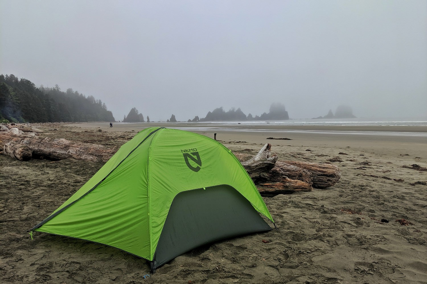 A green tent is set up on a foggy beach.