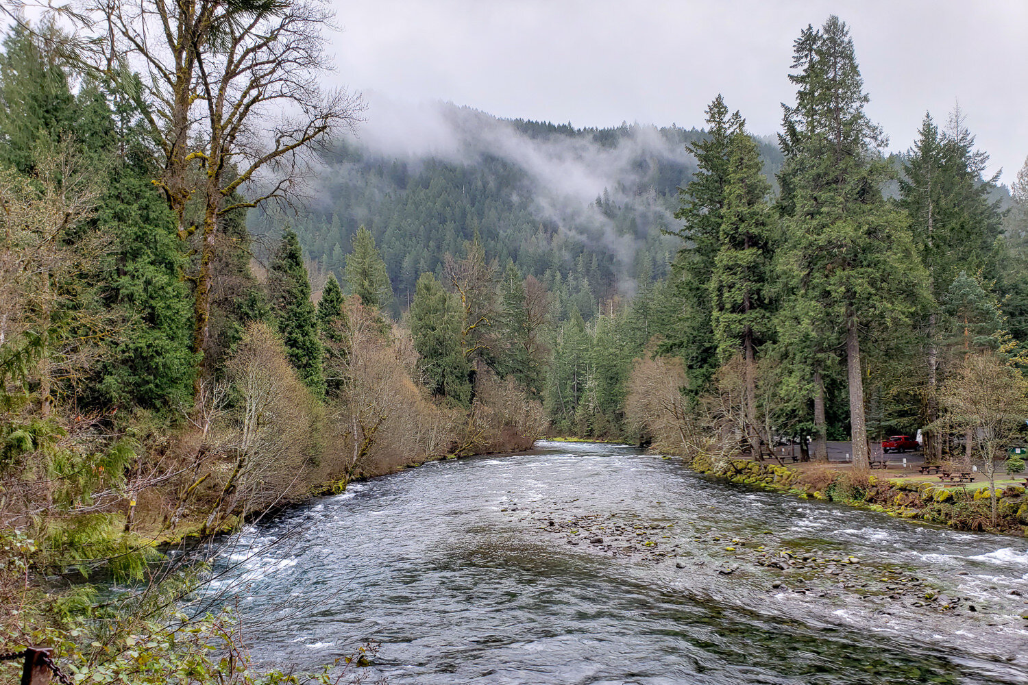 a low misty cloud over the mckenzie river
