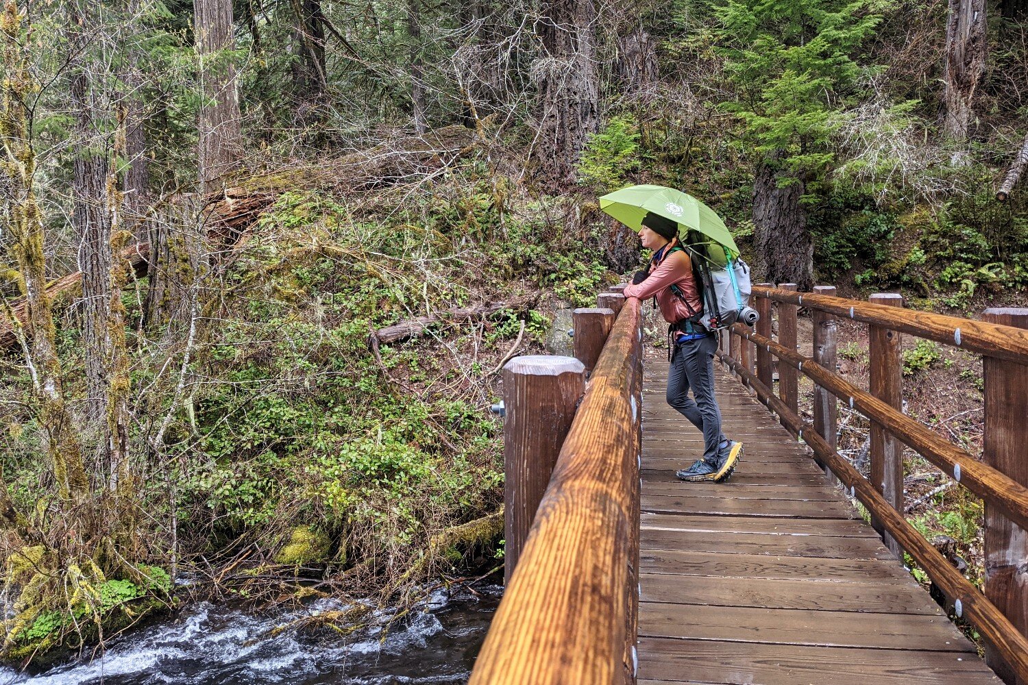 A backpacker on the mckenzie river trail crossing a bridge with an umbrella over their head