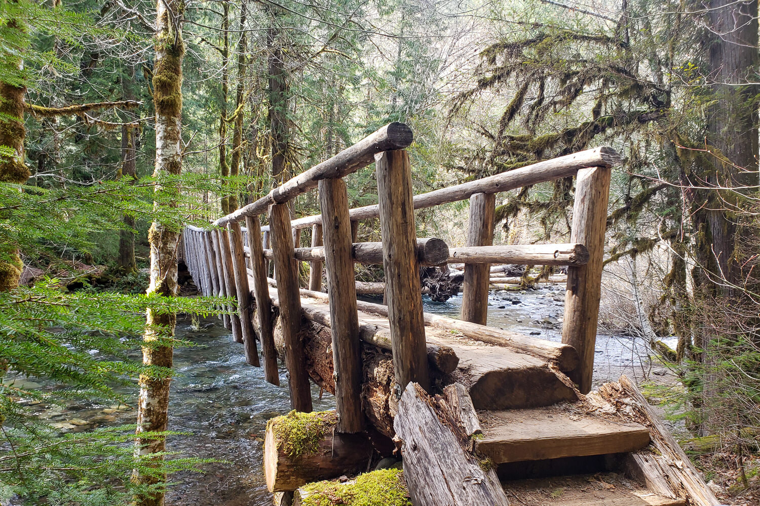 a hand hewn backcountry bridge crossing the mckenzie river