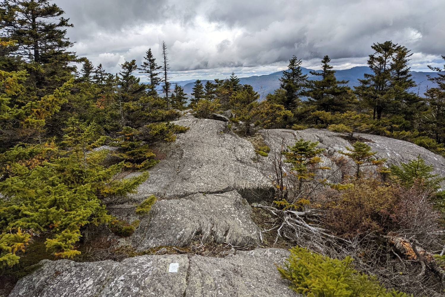 a summit vista on the long trail with cloudy skies nearly touching the ridgeline in the distance.