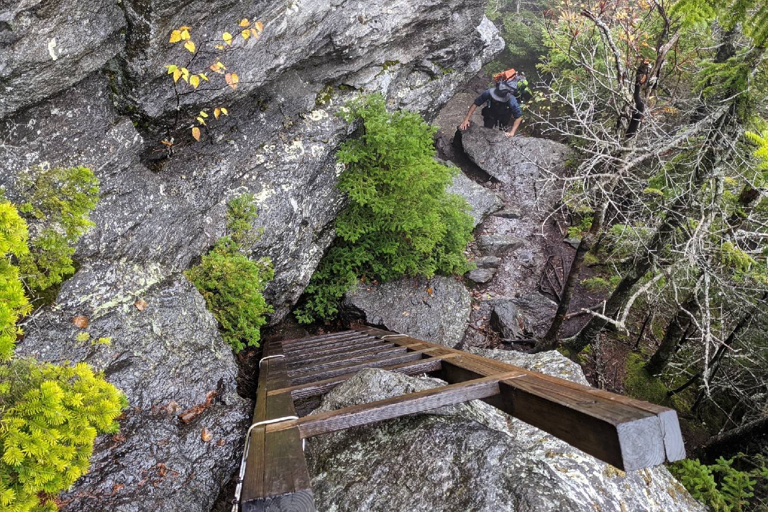 backpacker climbing up rocks to a ladder on the long trail in vermont
