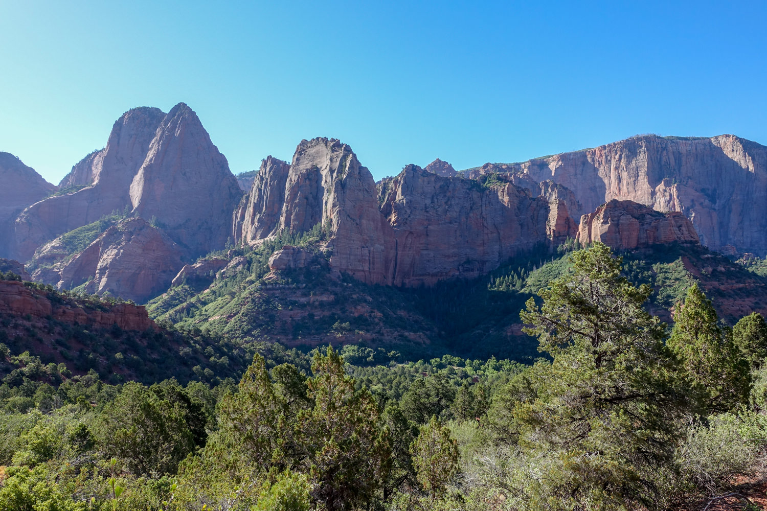 a skyline of zion national park with towers of sandstone rising above a green valley floor on a sunny day