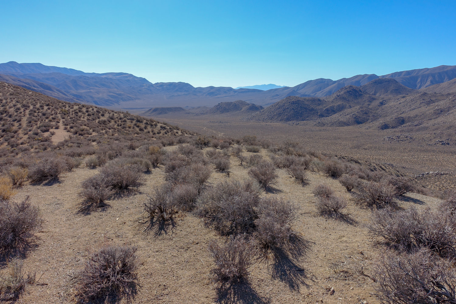 dried bushes covering a hillside and valley in death valley national park