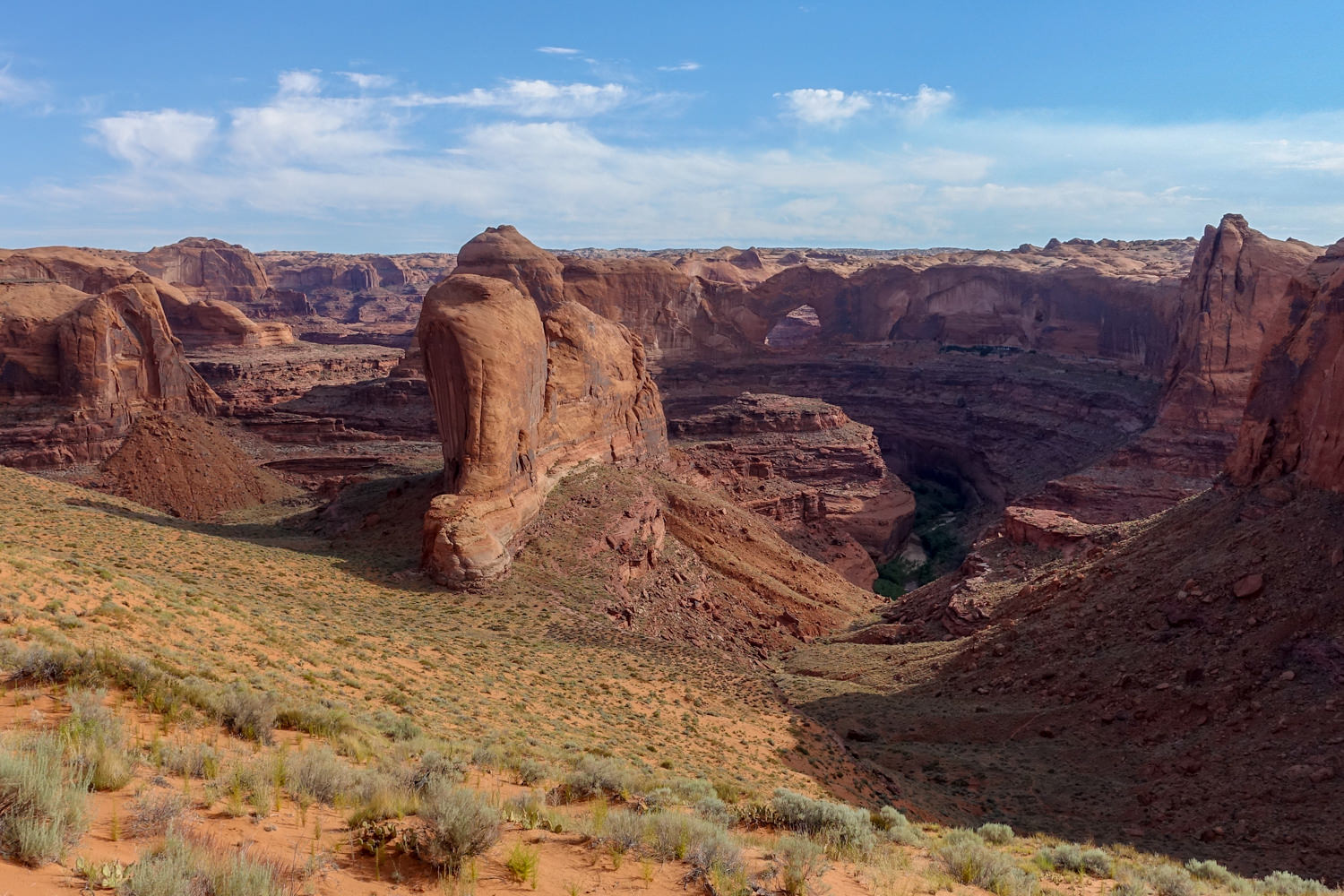 a expansive view of desert cliffs and rock formations