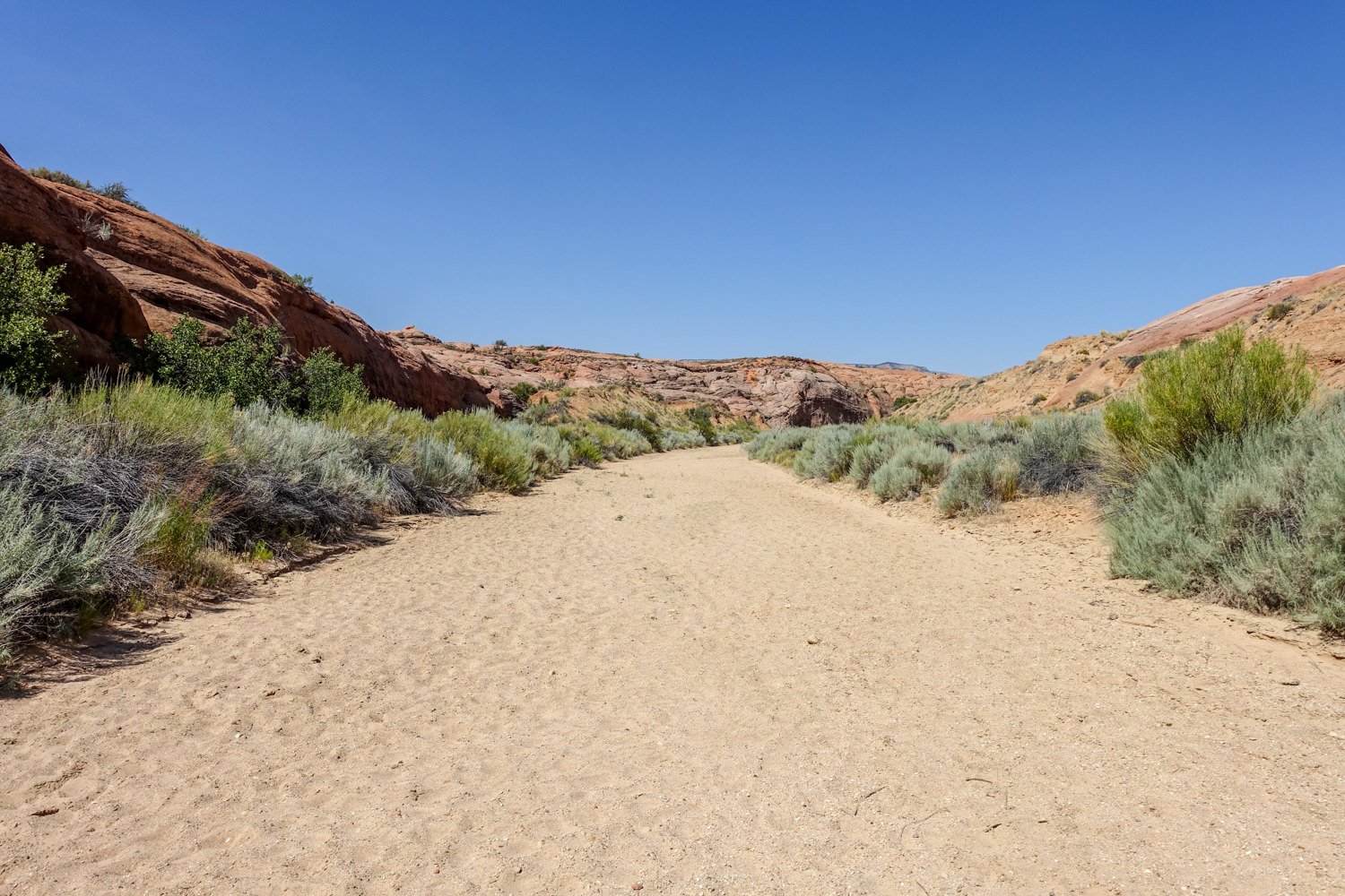 a sandy wash with desert foliage on either side