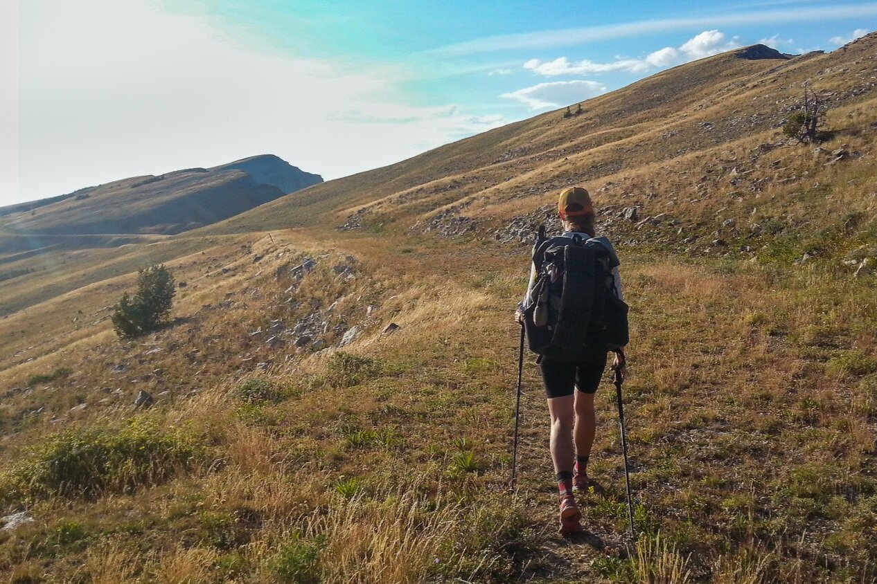 CDT thru-hiker walking with trekking poles in a grassy mountain side.