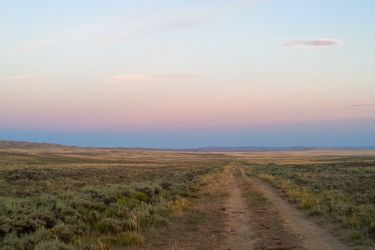 sunset across a sagebrush plain with a dirt road disappearing on the horizon.