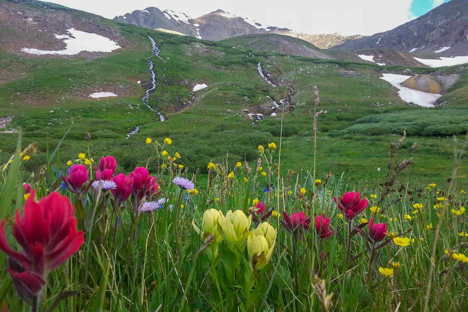 wildflowers including paintbrush in red, yellow and pink in an alpine meadow with snow spotted mountains in the background