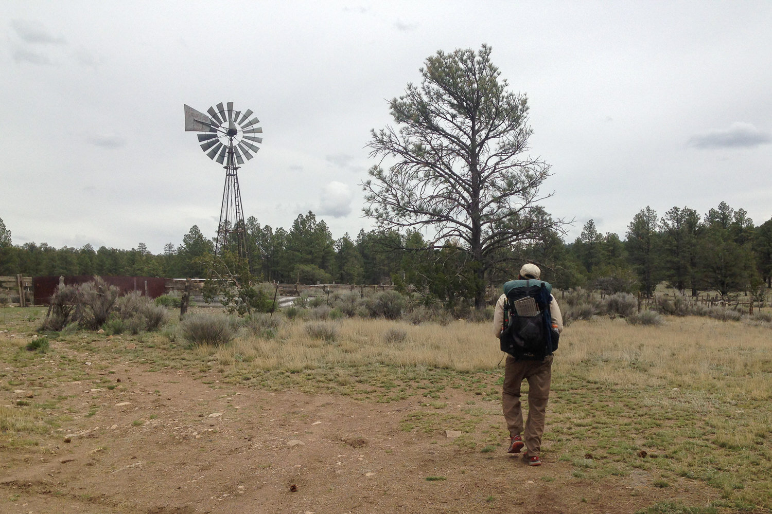 CDT thru-hiker approaching a livestock pen with a windmill.