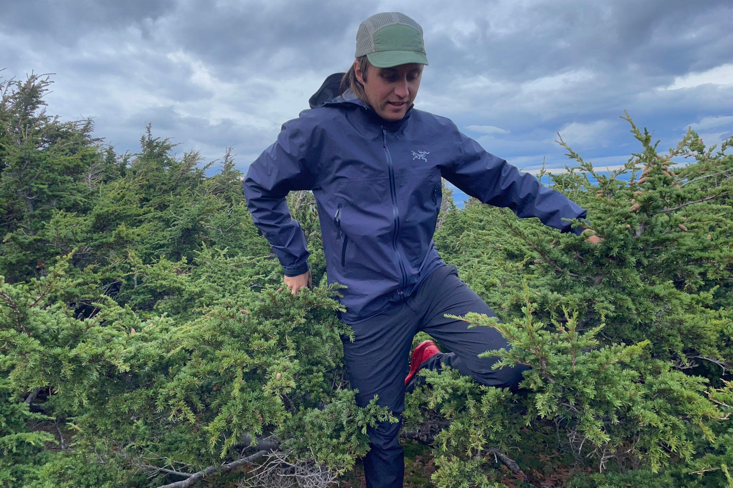 A man walks through waist high trees wearing a rain jacket.