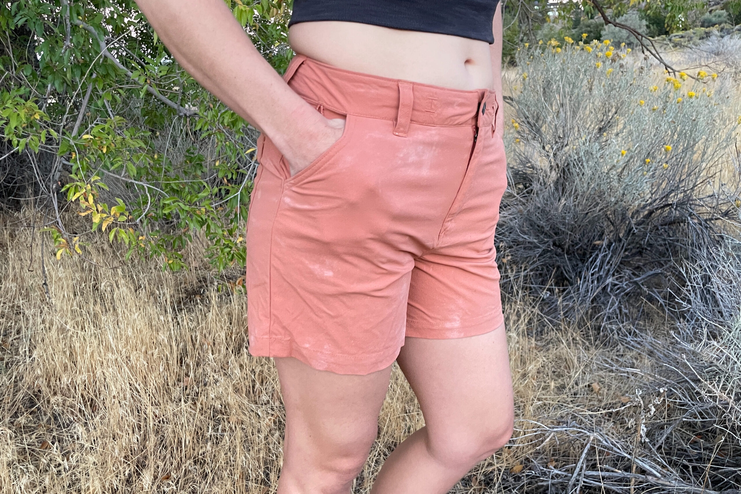 a close up of a pair of patagonia women's quandary shorts.