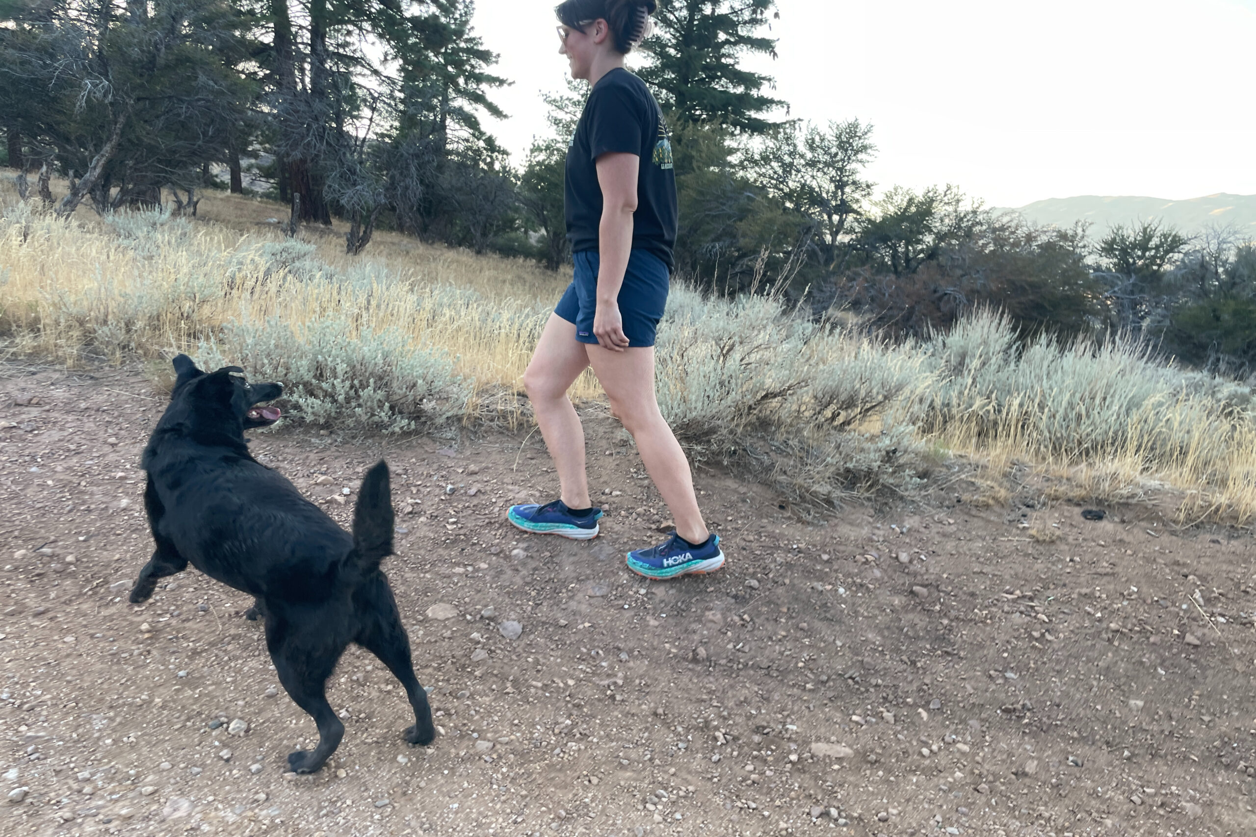 a women hiking in the patagonia multi trails shorts with a dog that is excited and has its front paws off the ground.