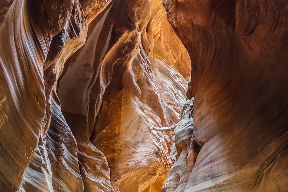 a driftwood log suspended and wedged in a slot canyon shows how high the water had been to lodge the log there.
