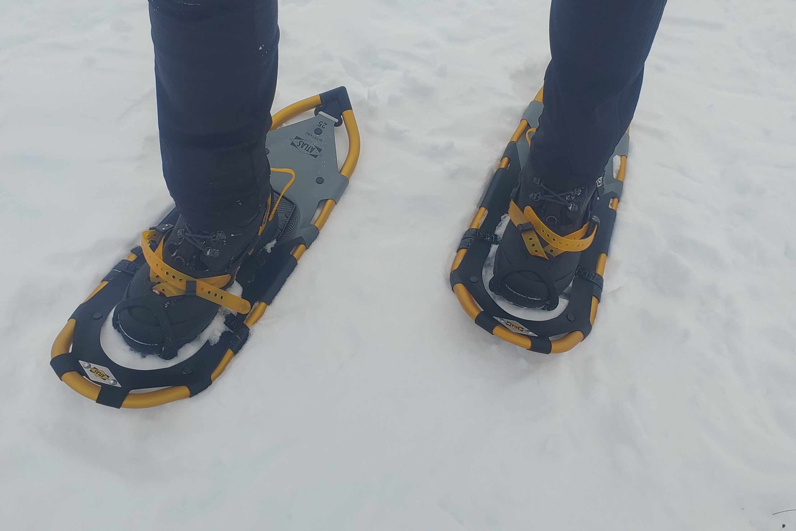 A top down shot of snowshoes.
