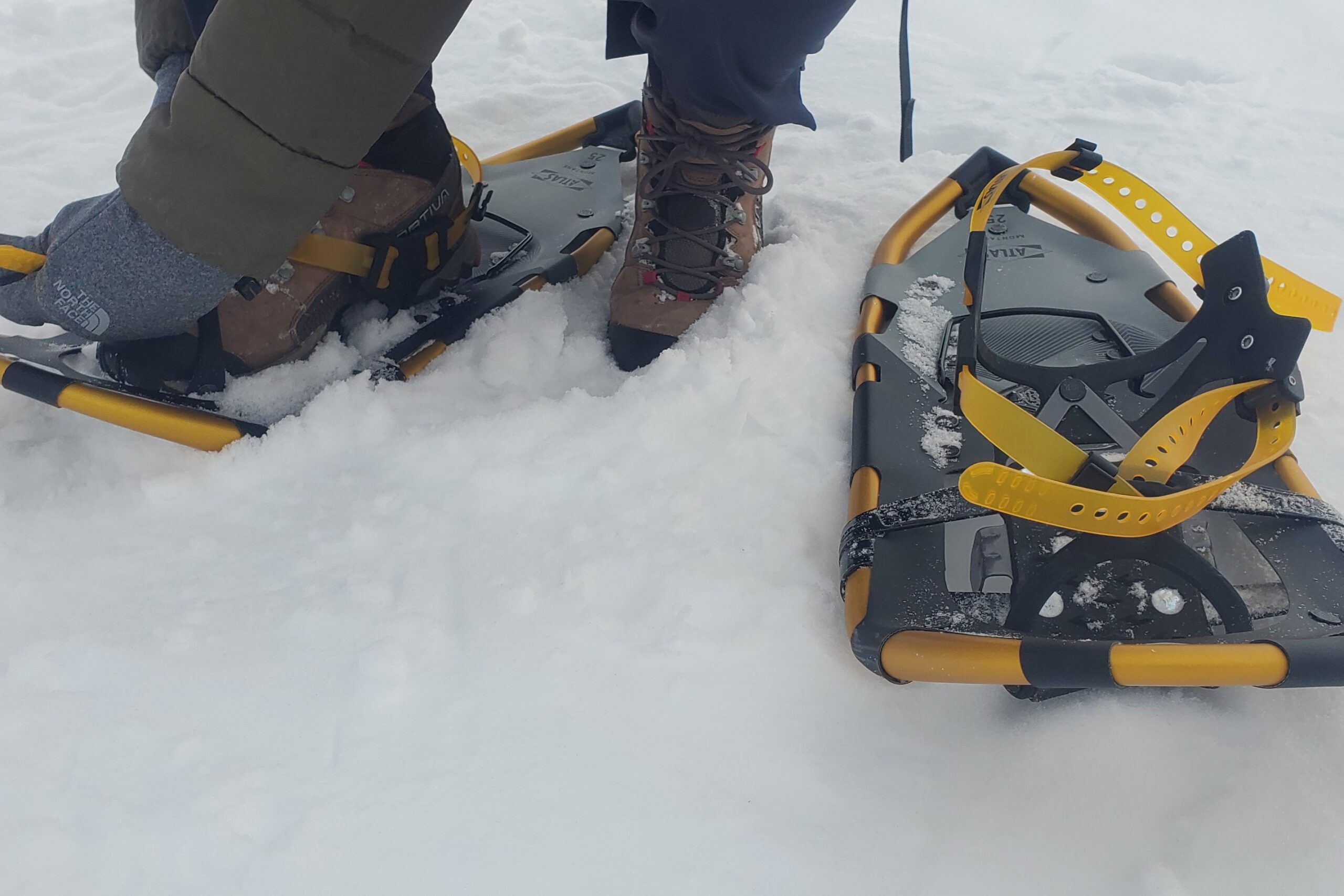 A closeup of the binding of snowshoes.