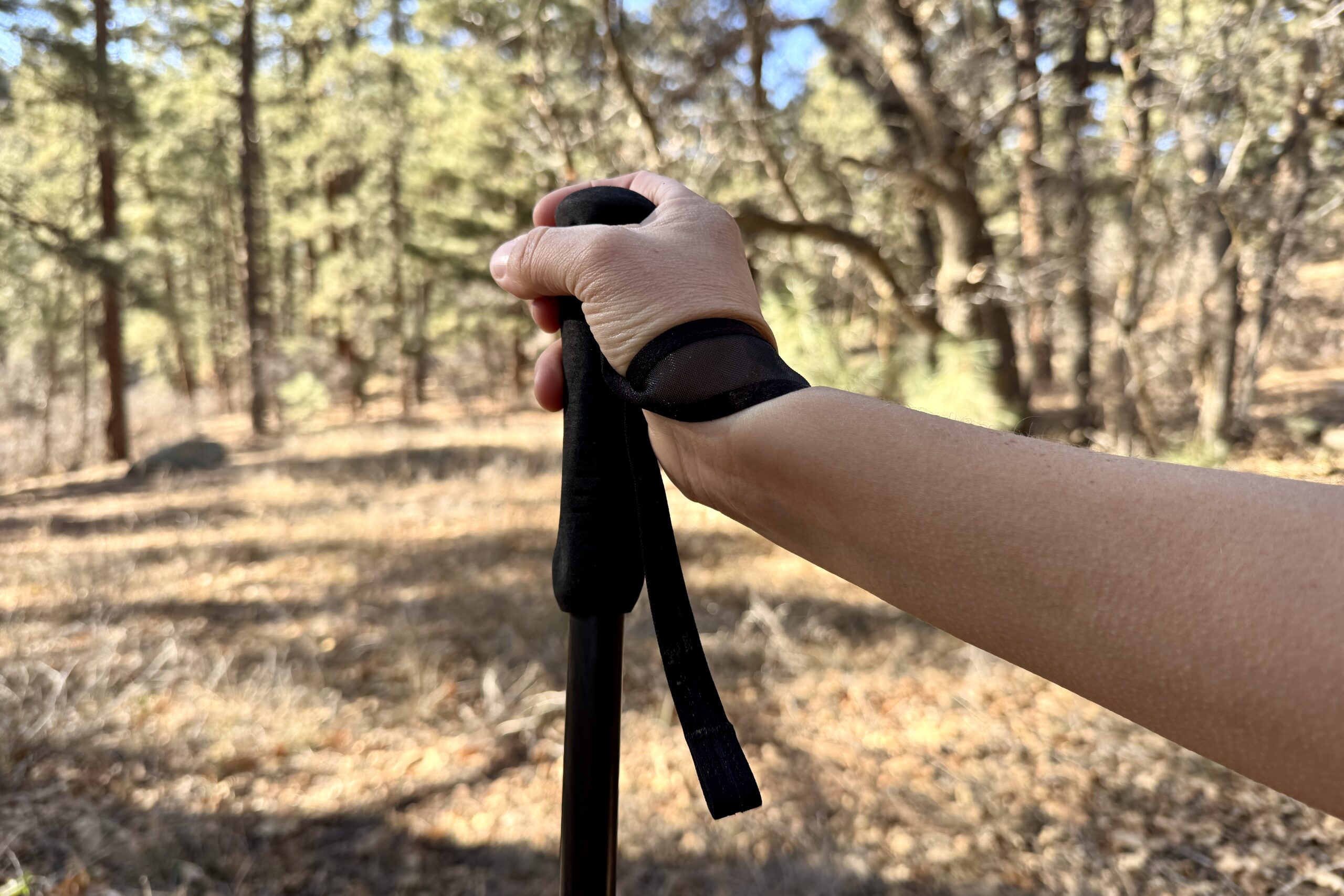 A close up of a hand holding the foam grip of the Durston Iceline pole with a forest in the background.