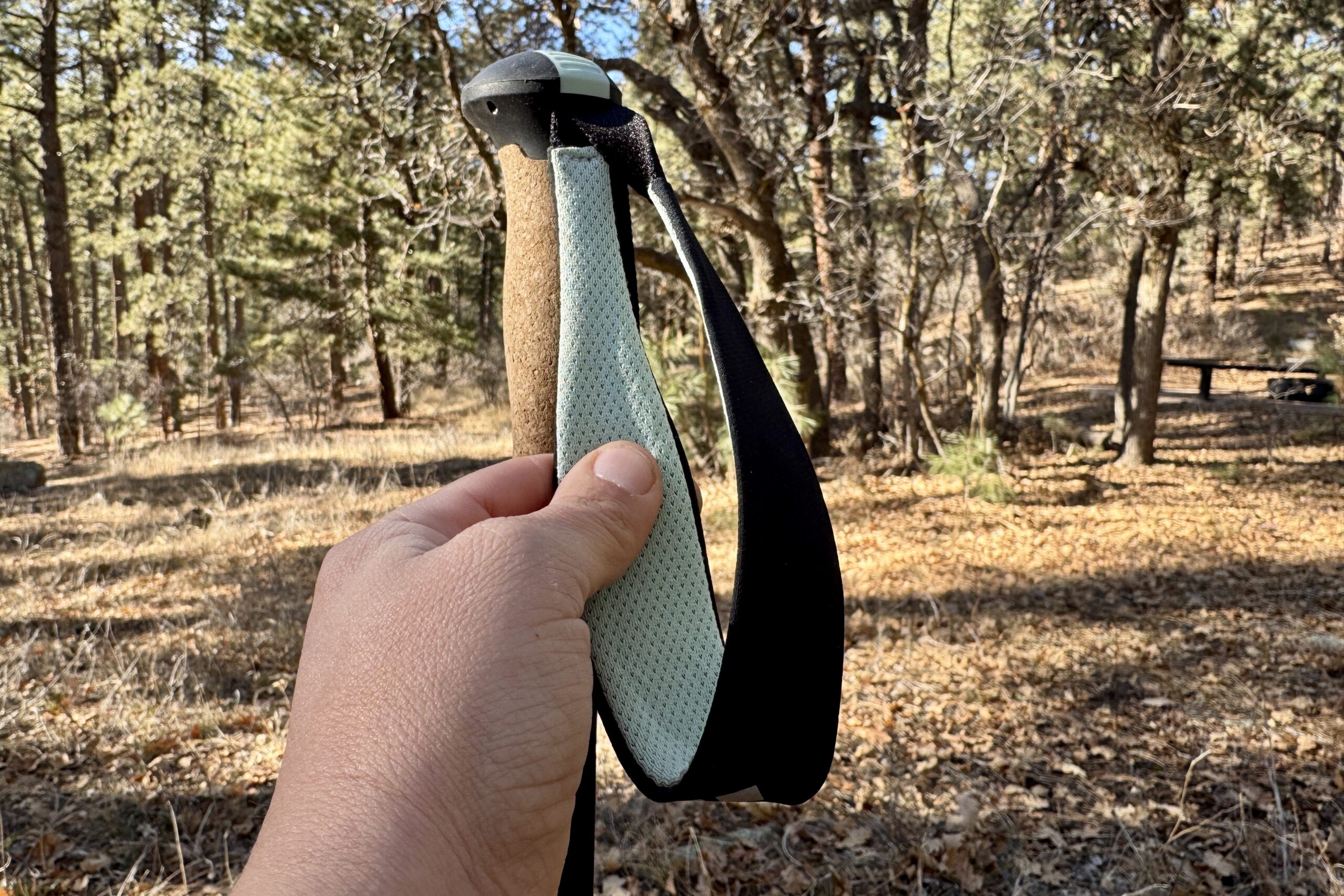 A close up of a hand holding the padded wrist strap of a trekking pole with a forest in the background.
