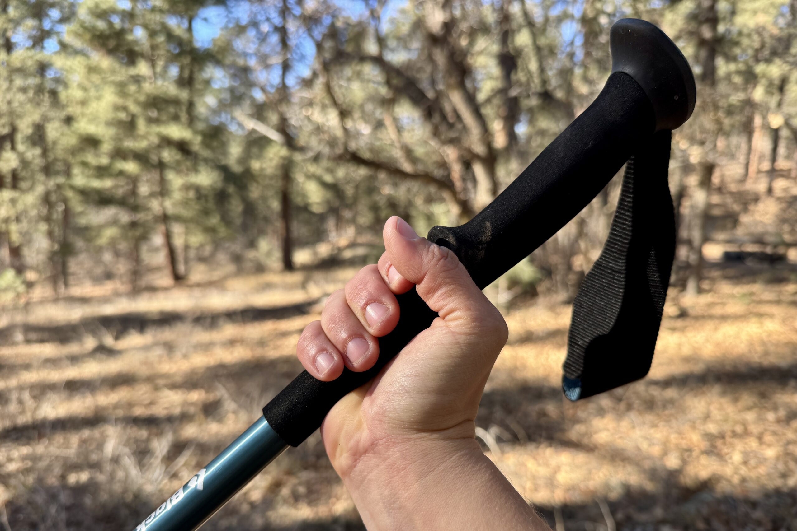 A close up of a hand holding the foam grip of the Black Diamond Trail Back pole with a forest in the background.