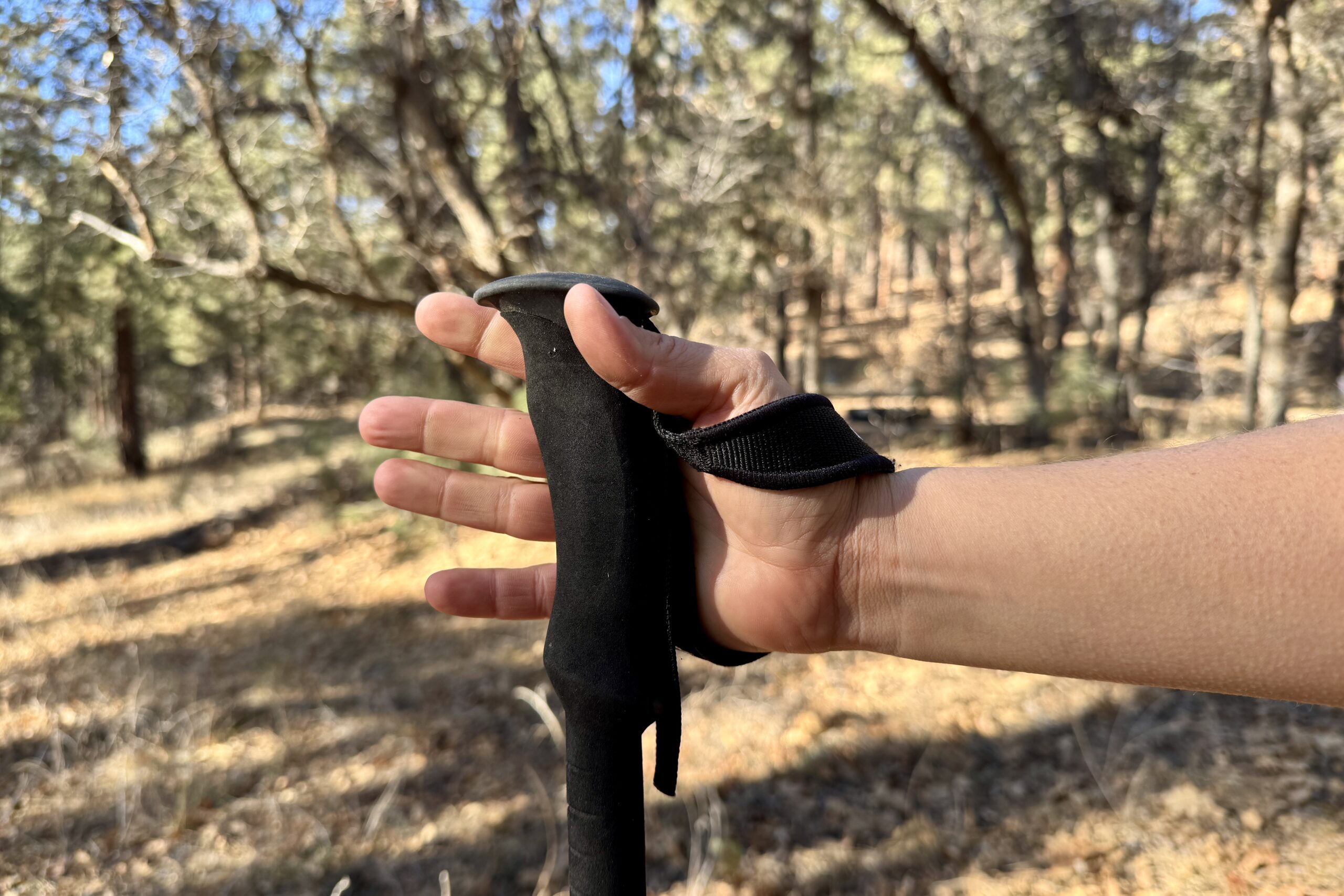 A close up of a hand holding the foam grip of the REI Flash Carbon pole with a forest in the background.