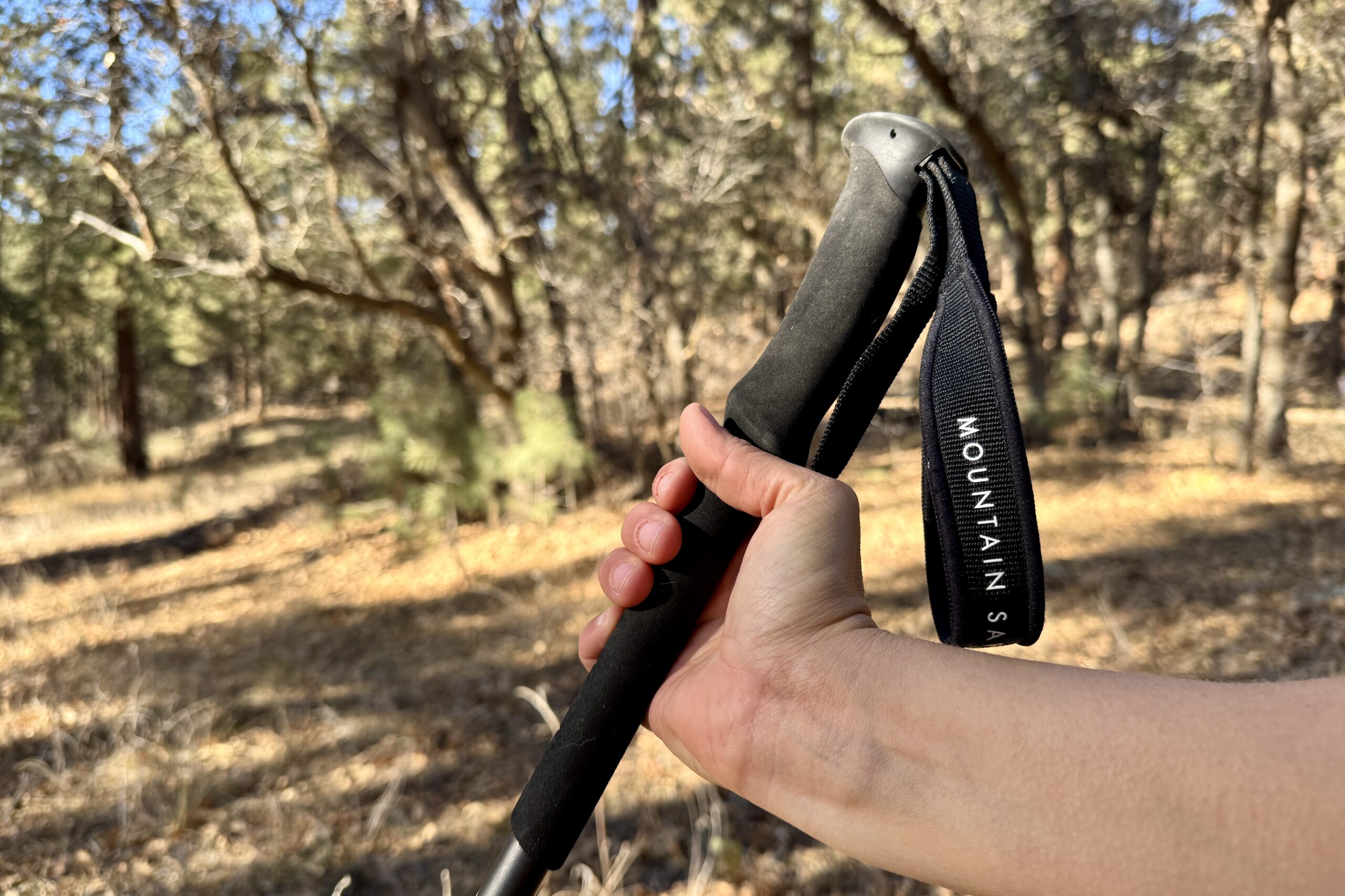 A close up of a hand holding the foam grip of the REI Flash Carbon pole with a forest in the background.