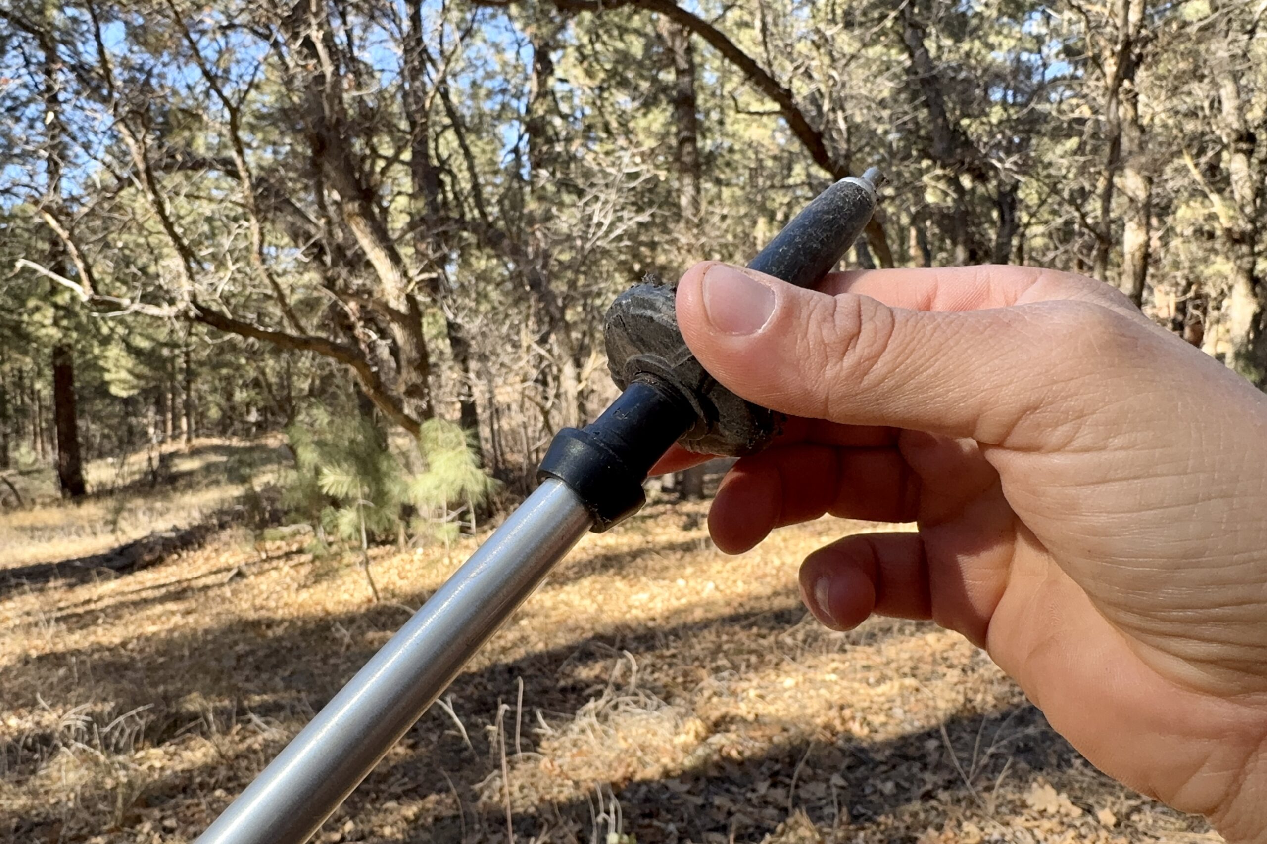 A close up of a hand manipulating a basket on a trekking pole. There is a forest in the background.