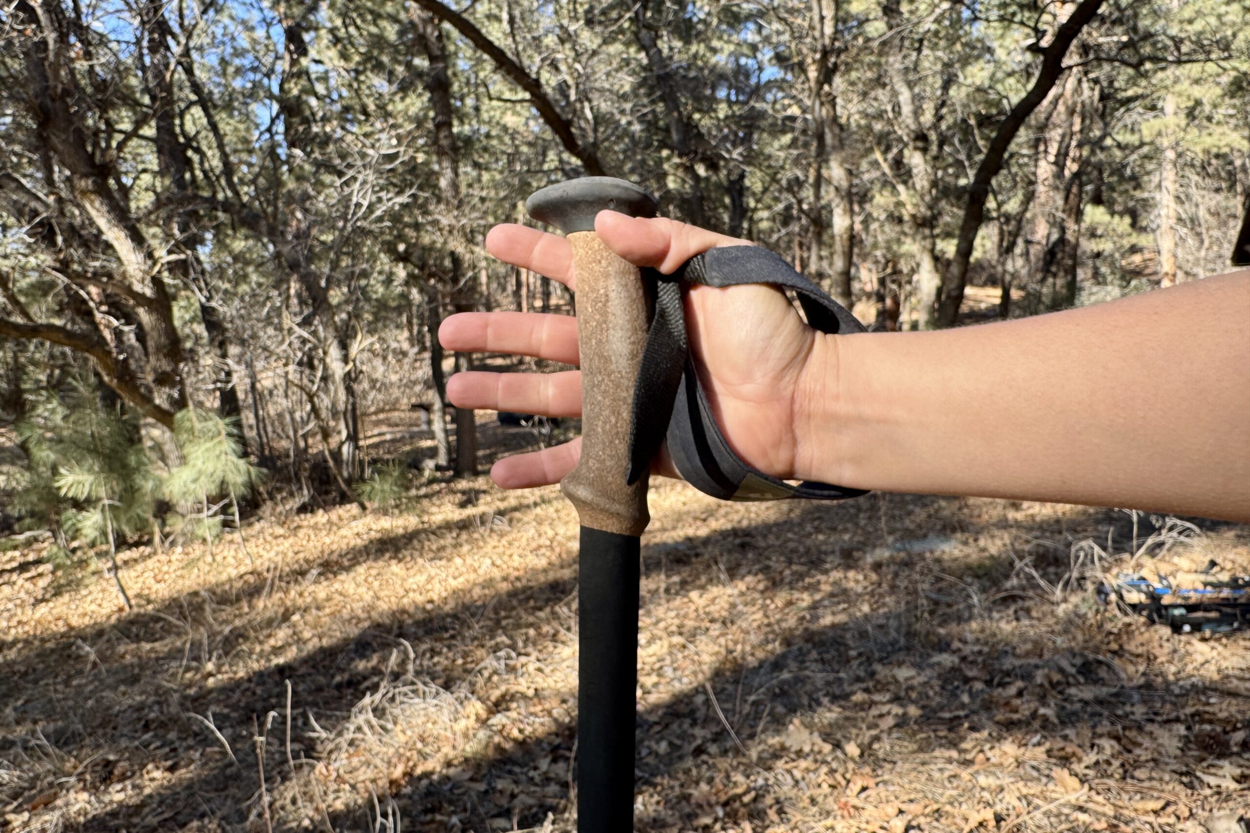 A close up of a hand holding the cork grip of the Black Diamond Alpine Carbon Cork pole with a forest in the background.