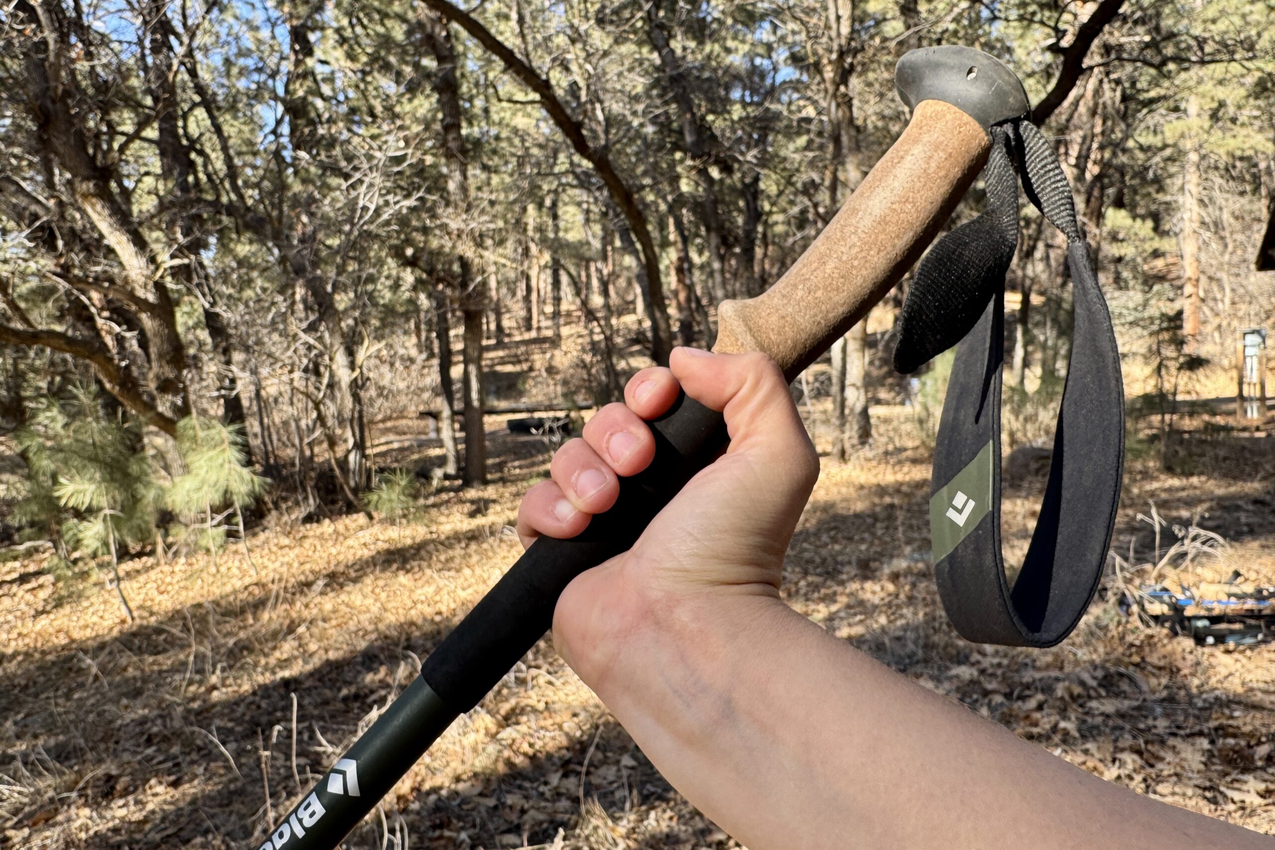 A close up of a hand holding the cork grip of the Black Diamond Alpine Carbon Cork pole with a forest in the background.