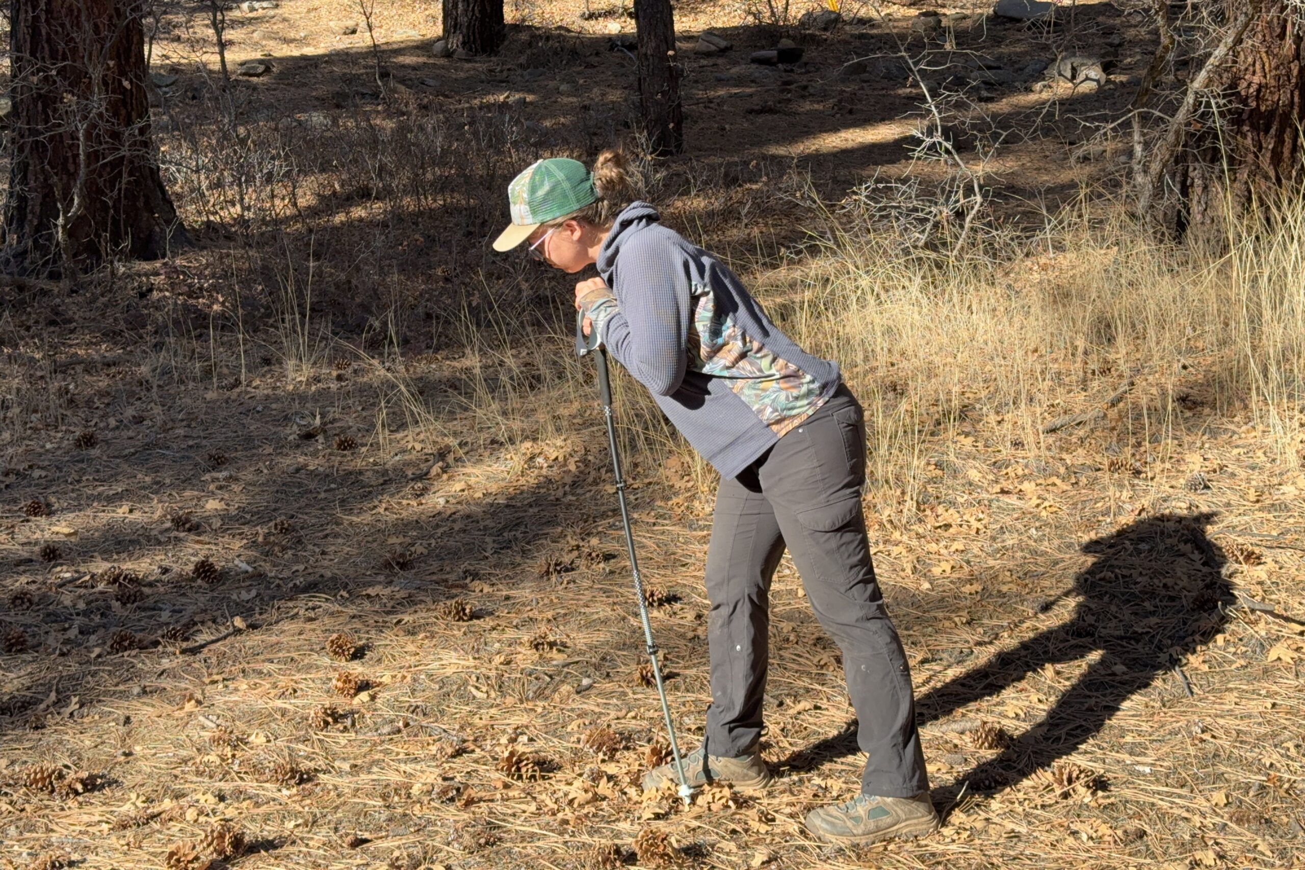 A person is leaning on a trekking pole with a forest in the background.
