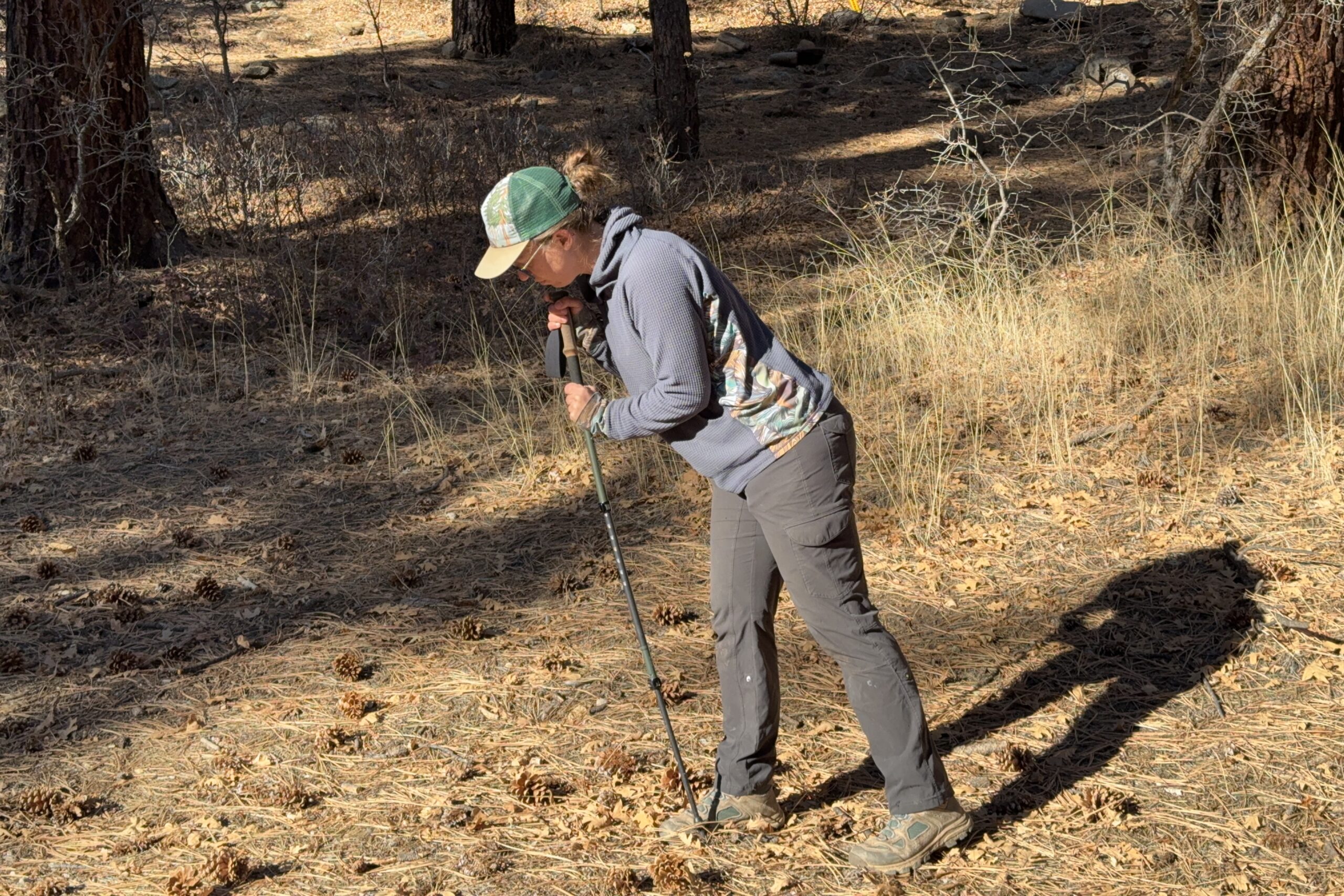 A person is leaning on a trekking pole with a forest in the background.