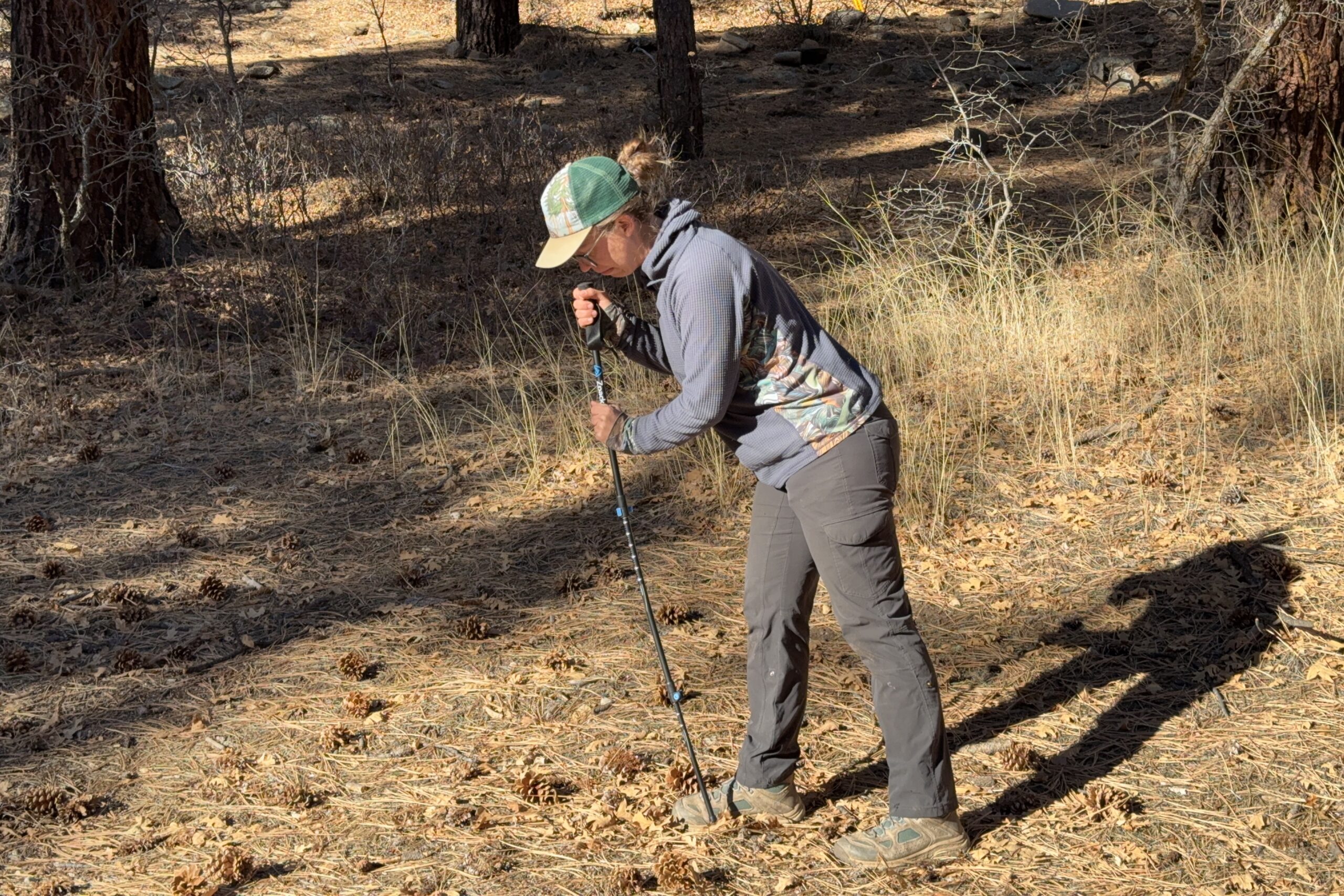 A person is leaning on a trekking pole with a forest in the background.