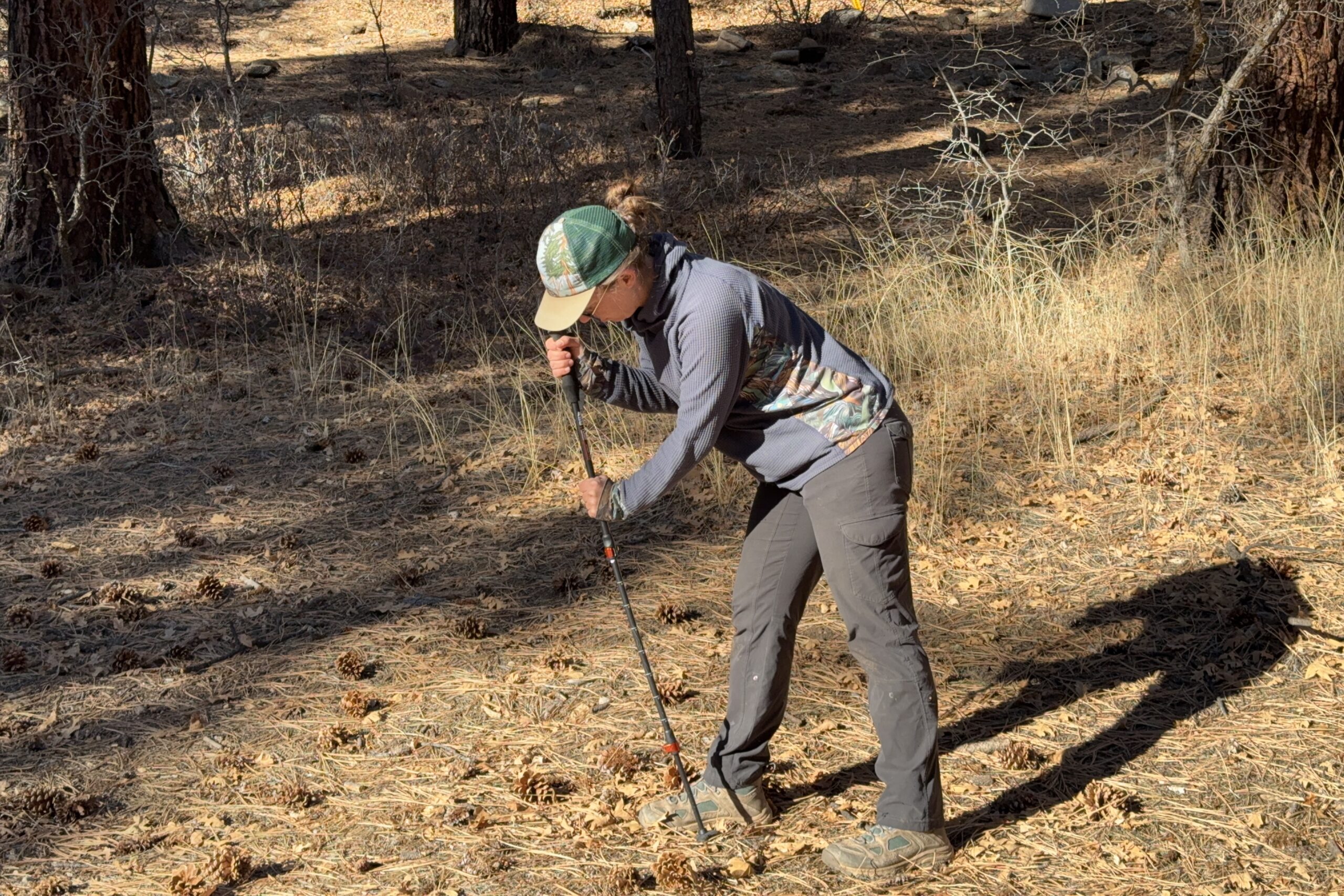 A person is leaning on a trekking pole in the forest.