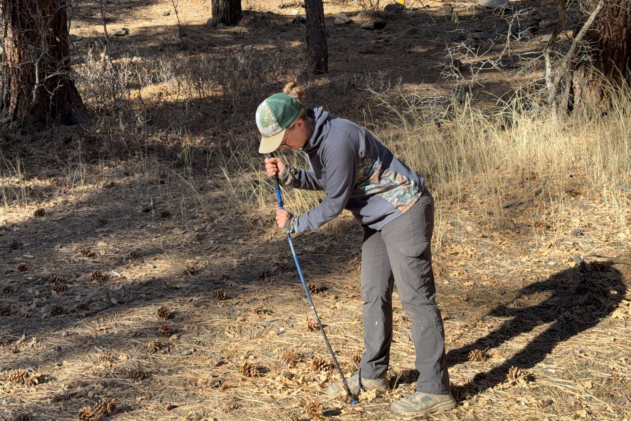 A person is leaning on a trekking pole in the forest.