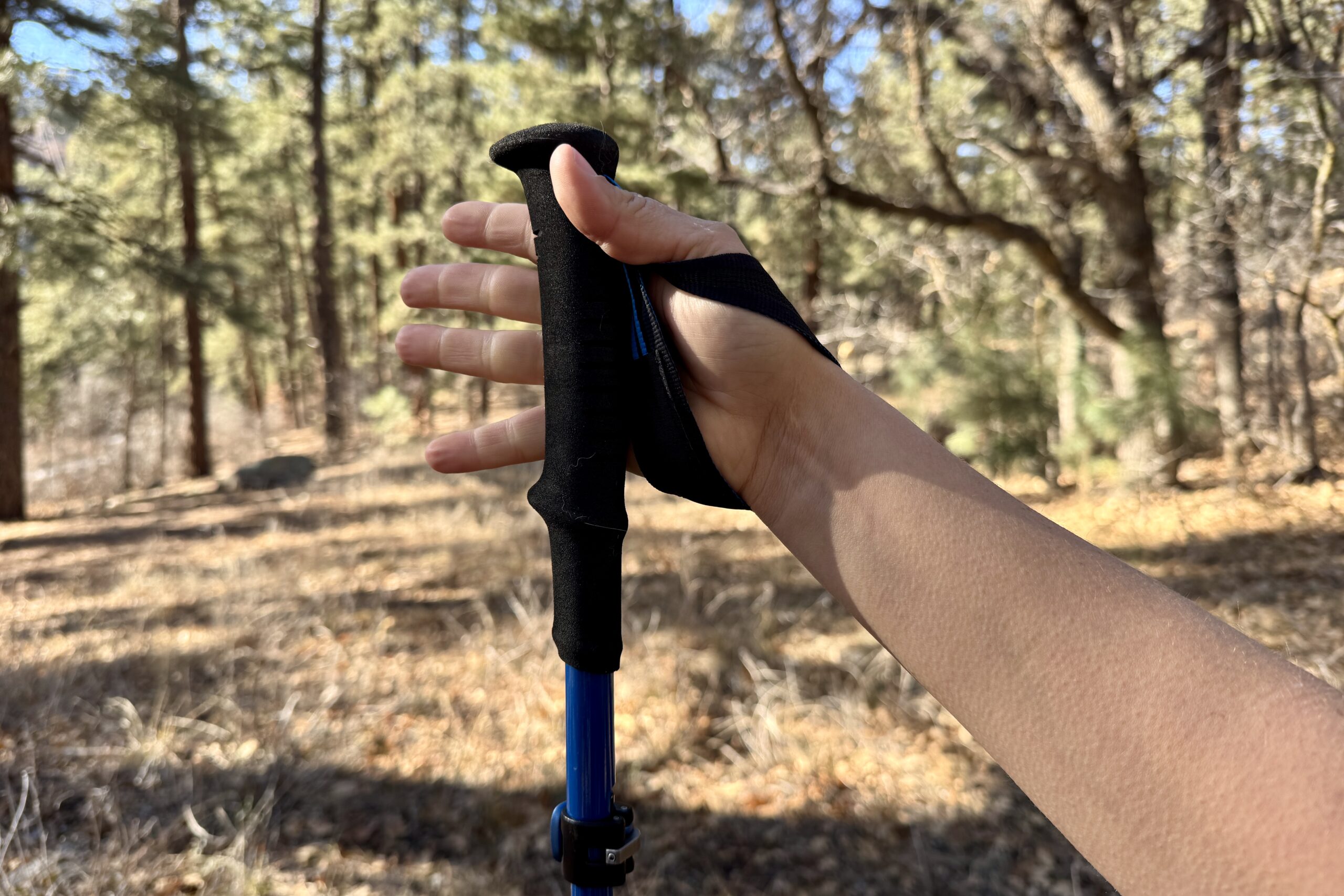 A close up of a hand holding the foam grip of the Black Diamond Distance Carbon FLZ pole with a forest in the background.
