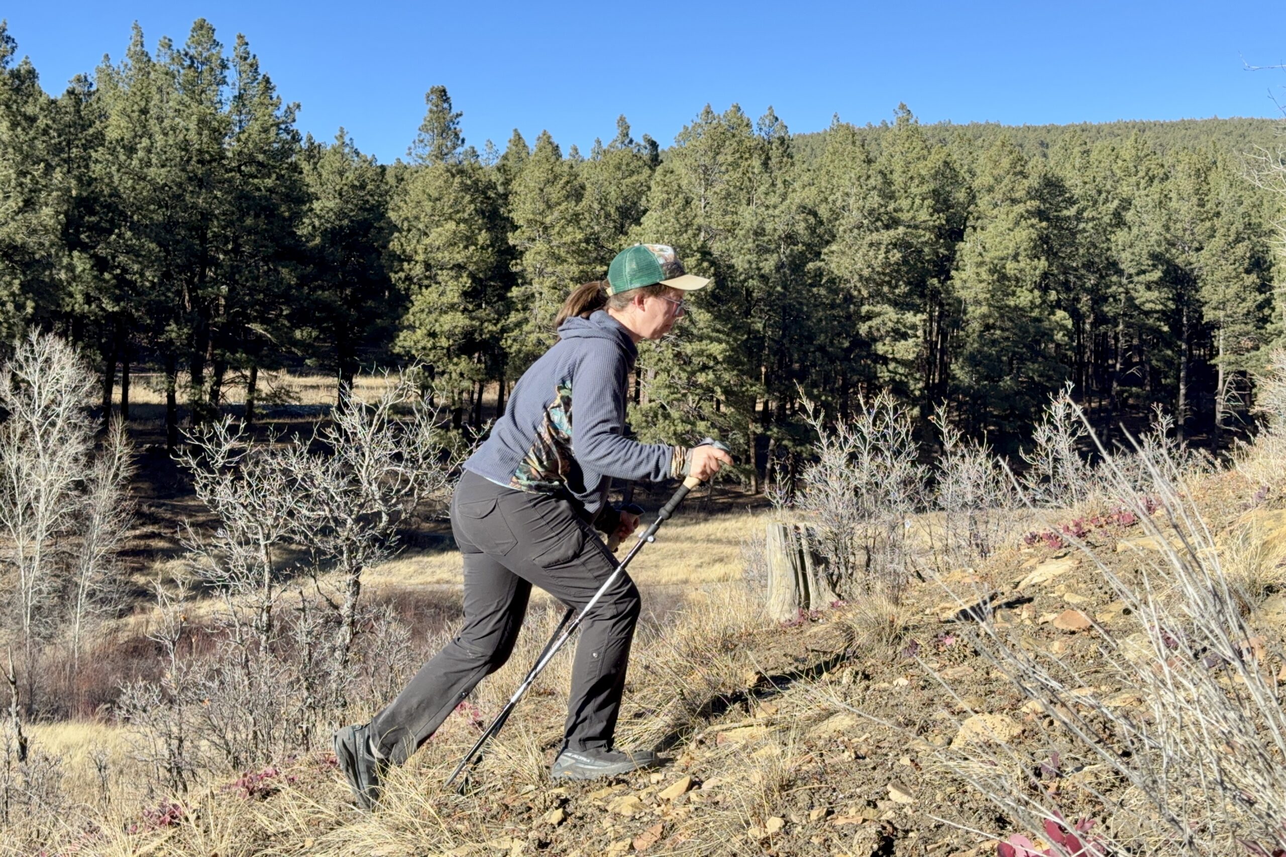 A person is using a pair of trekking poles to hike up a hill in the forest.