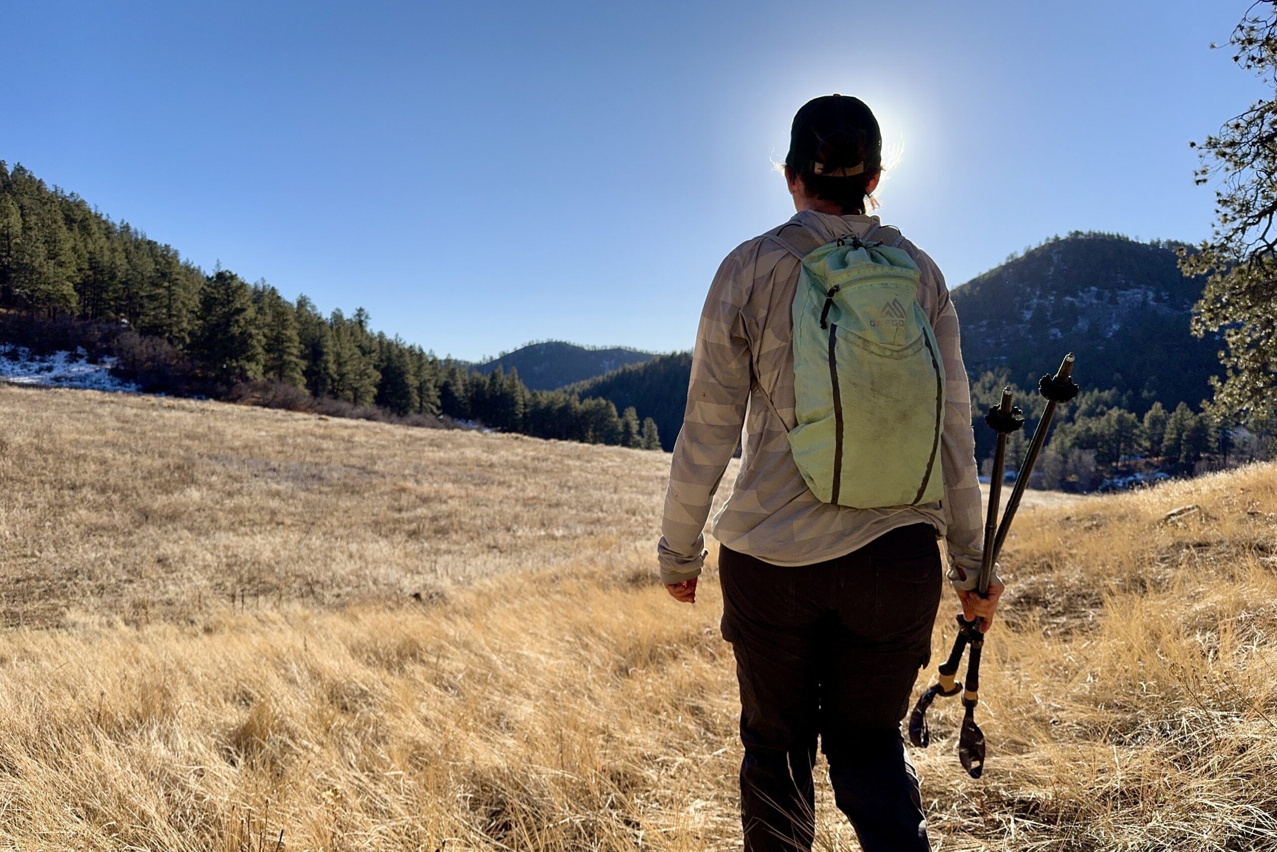 A person wearing a small pack is walking towards a golden meadow in the middle of a forest. The are holding a pair of trekking poles.