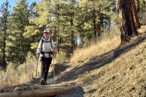 A person wearing a backpack is walking down a trail using trekking poles in a forest.