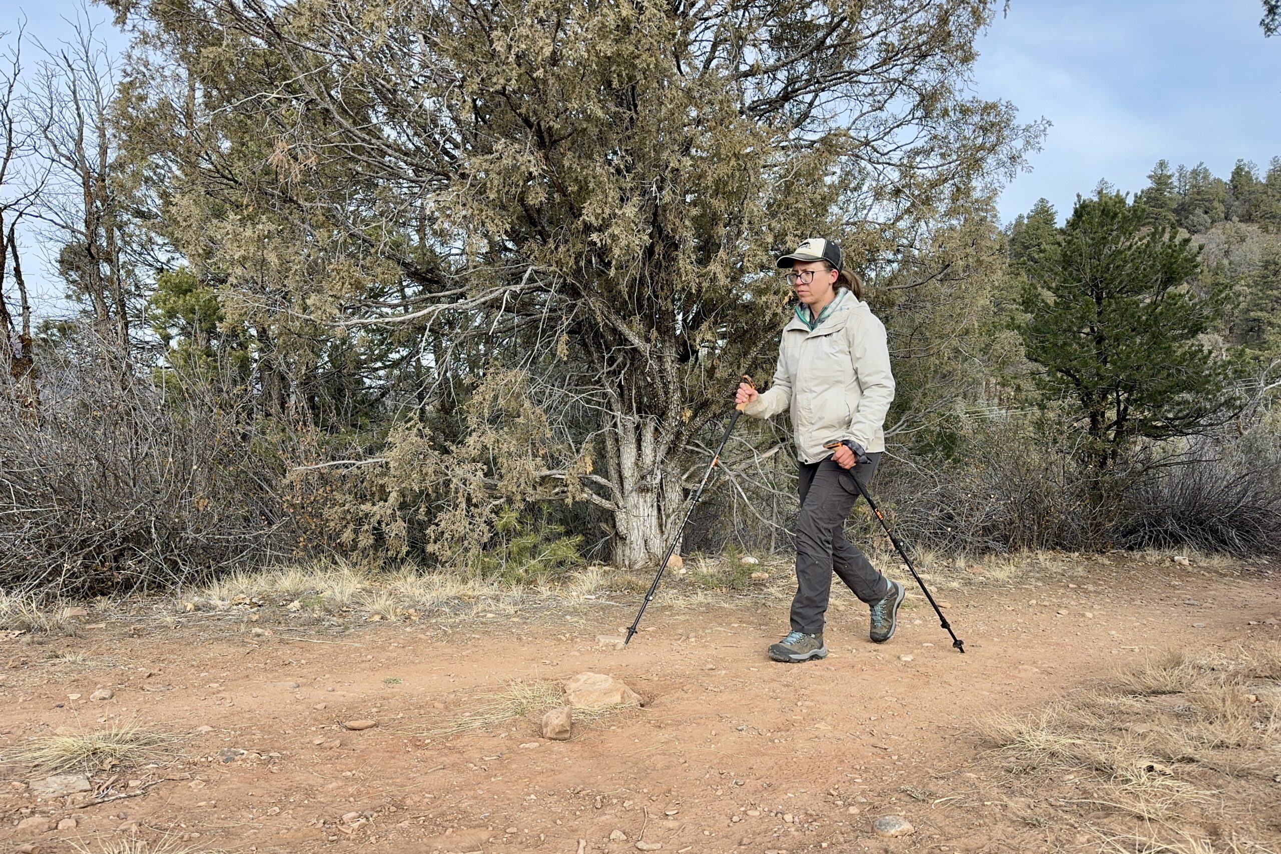 A person is walking down a trail in the forest using some trekking poles.