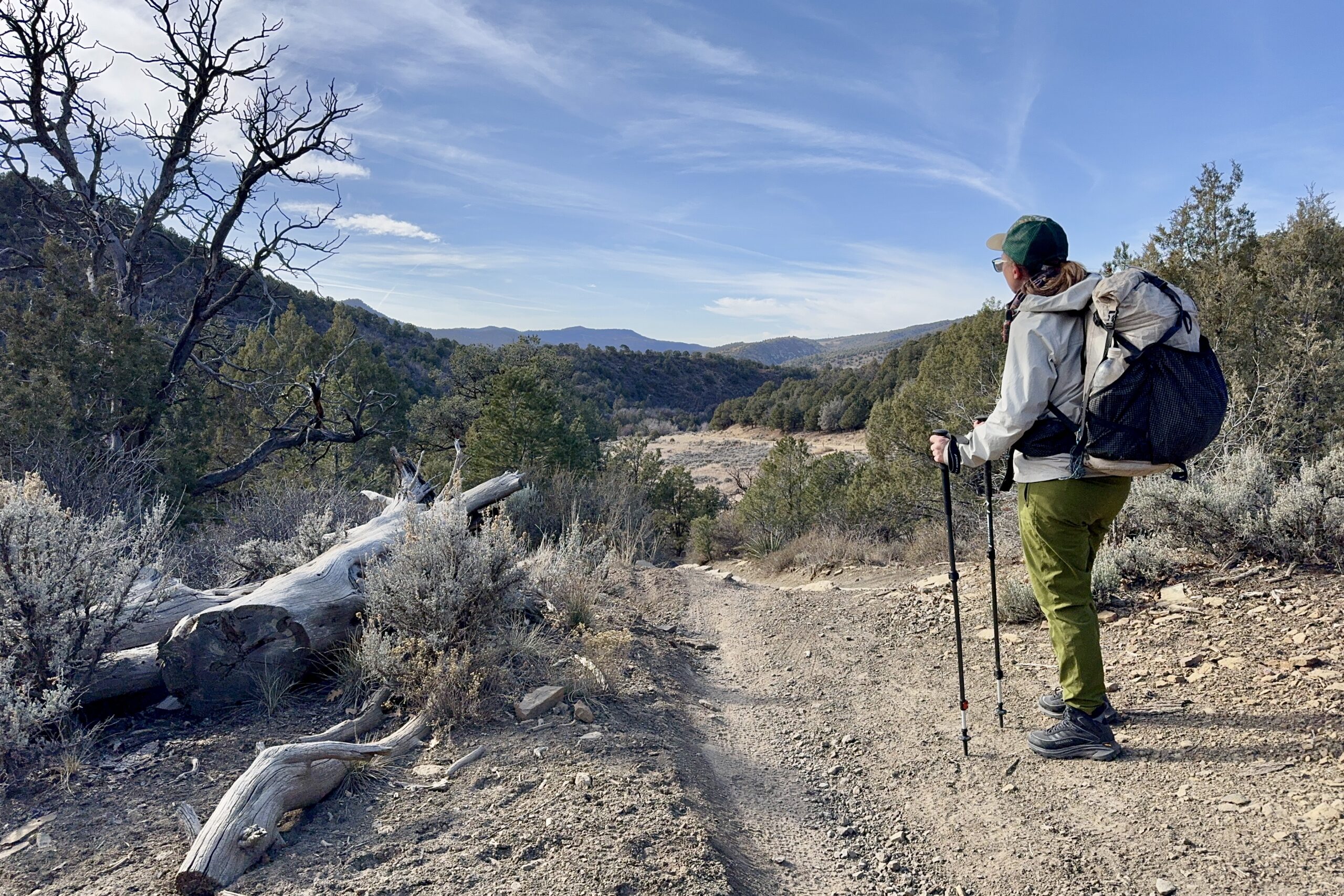 A person is standing next to a trail looking out into a valley. They are wearing a backpack and holding some trekking poles.