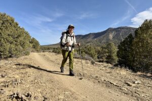 A person wearing a backpack is walking down a trail using some trekking poles. They are in desert like area with bushes and pine trees.