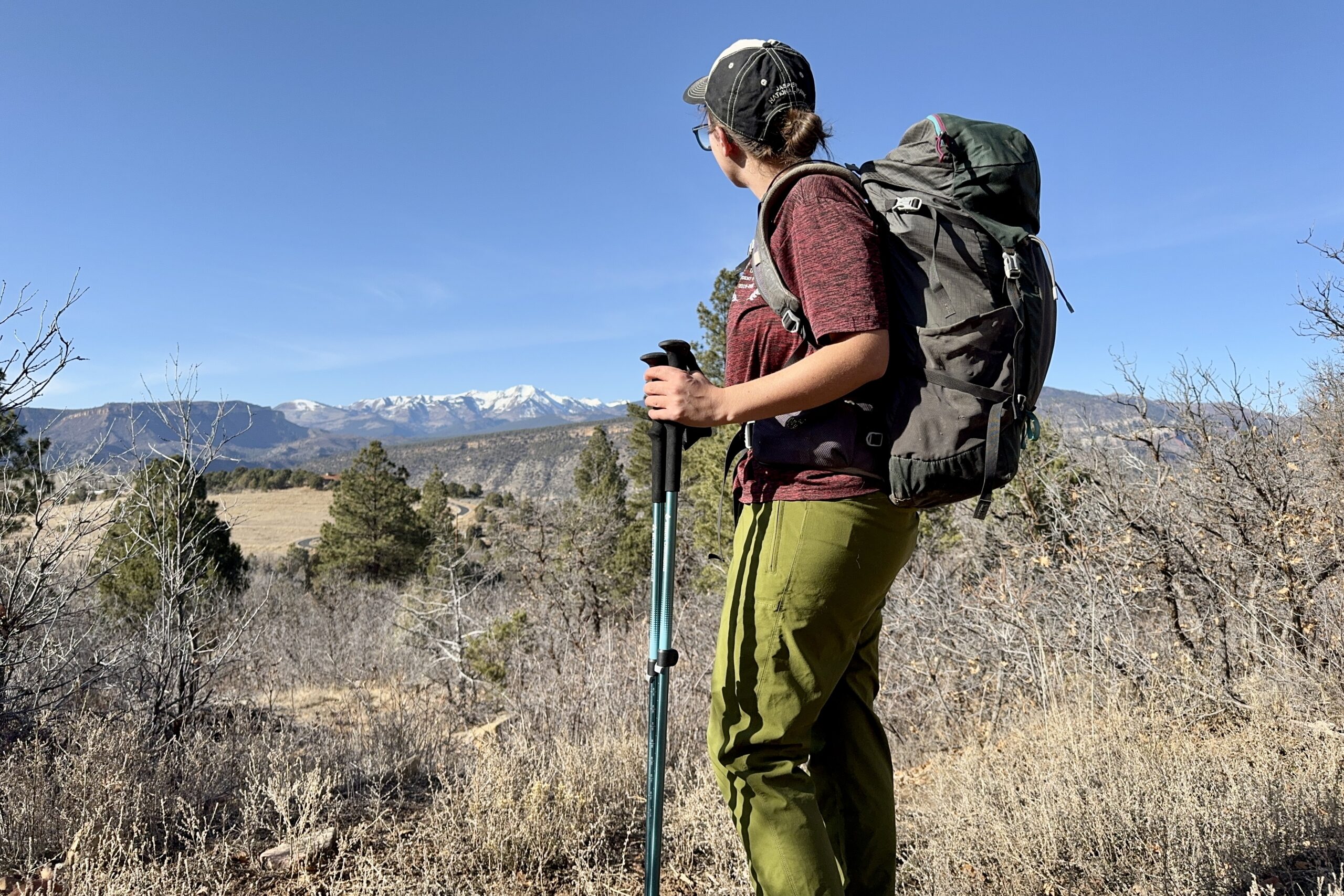 A person wearing a backpack and holding trekking poles is standing on a hill over looking a mountain view.